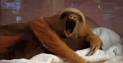 source (1).gif