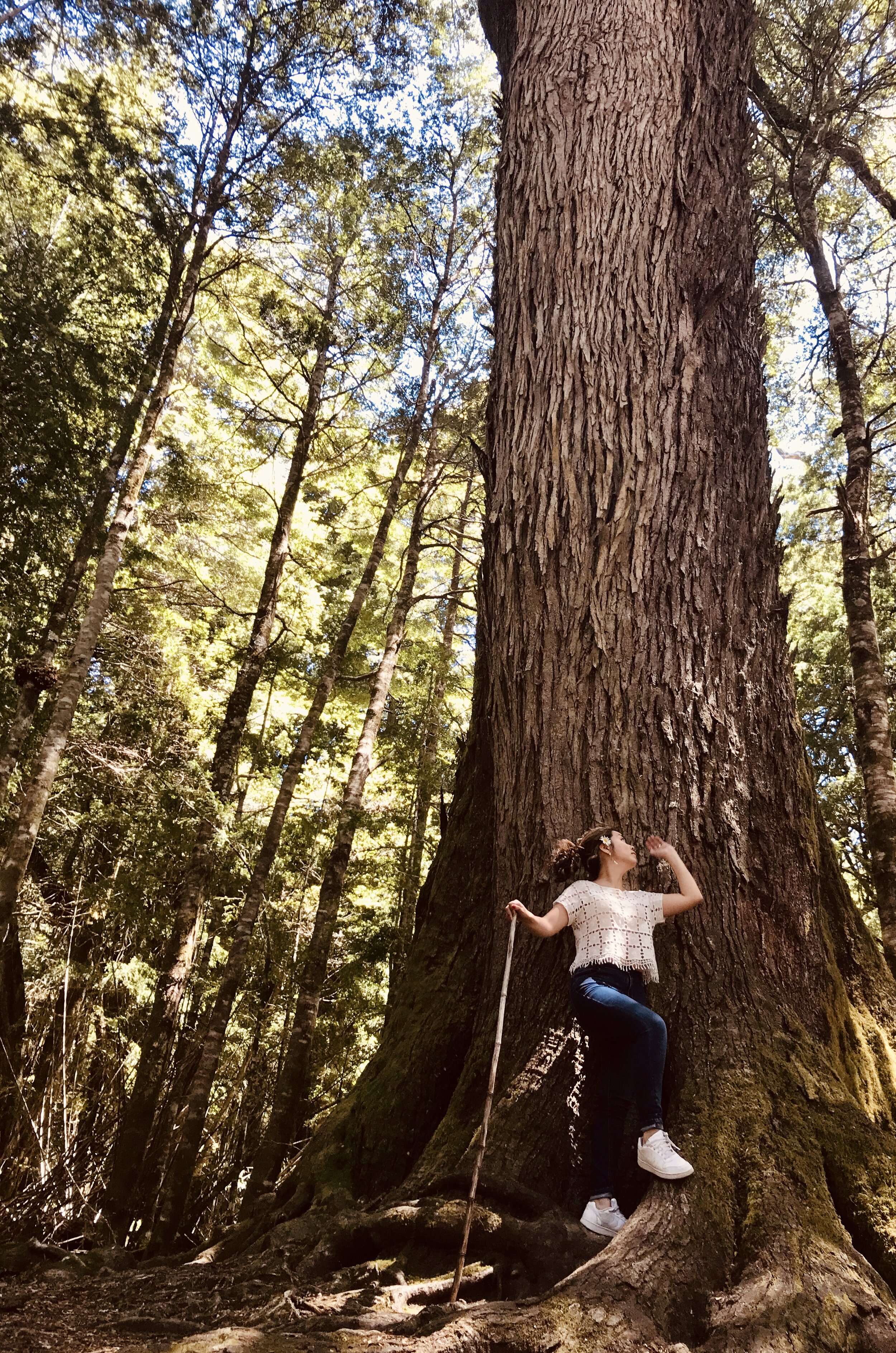 Qué mejor que usar la naturaleza como inspiración, ¿verdad?