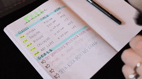 revision.gif