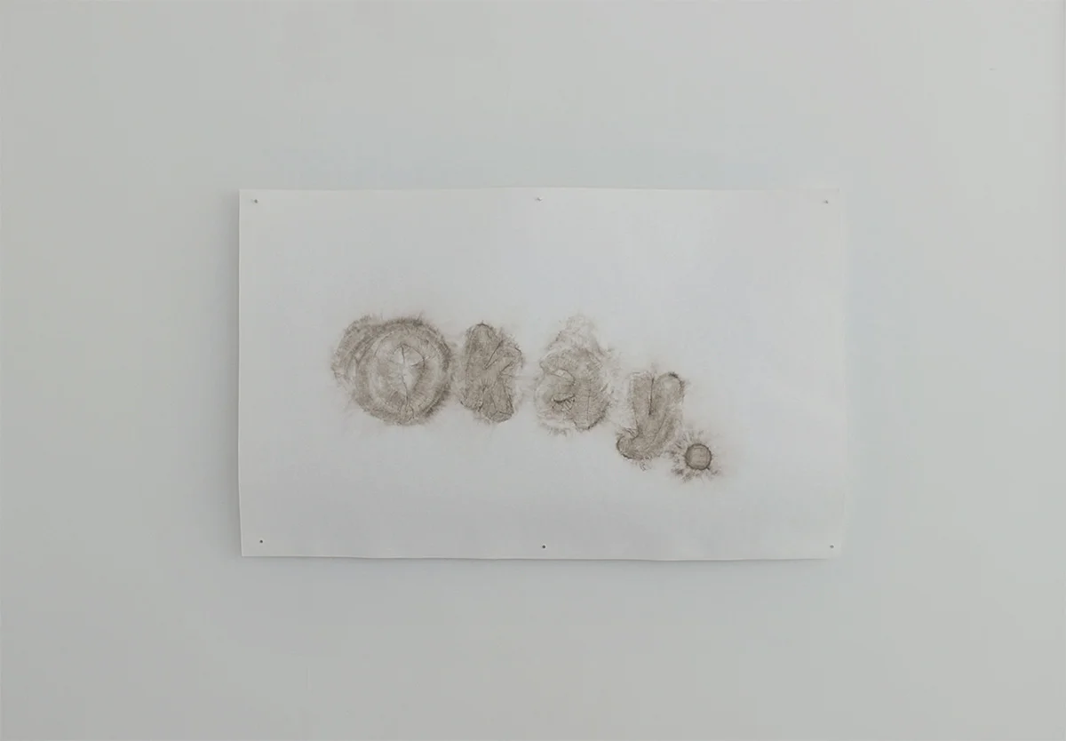 Okay., 2016, uncured concrete on paper, 40" x 60"