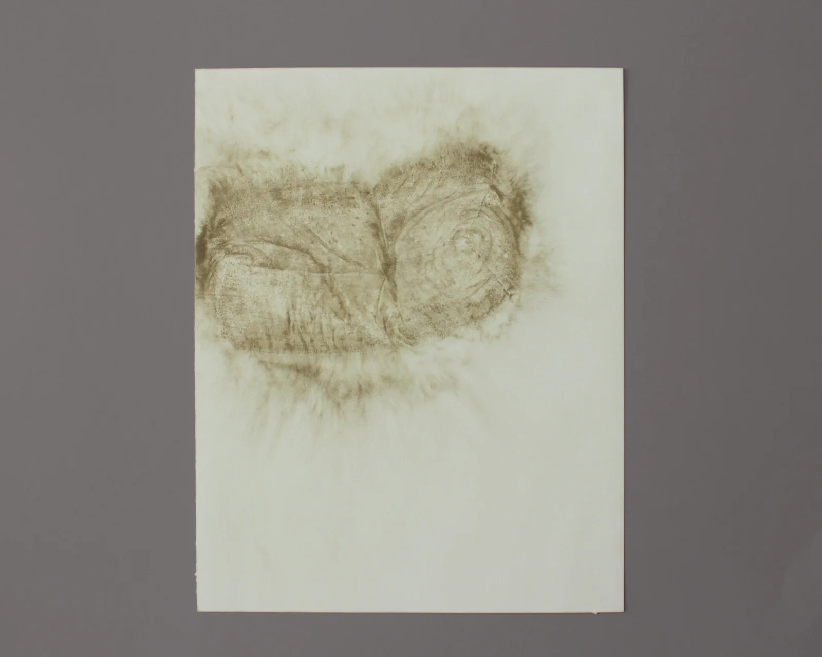 House Brick, Standard Size #2 , 2013, Uncured concrete on paper, 14"x11"