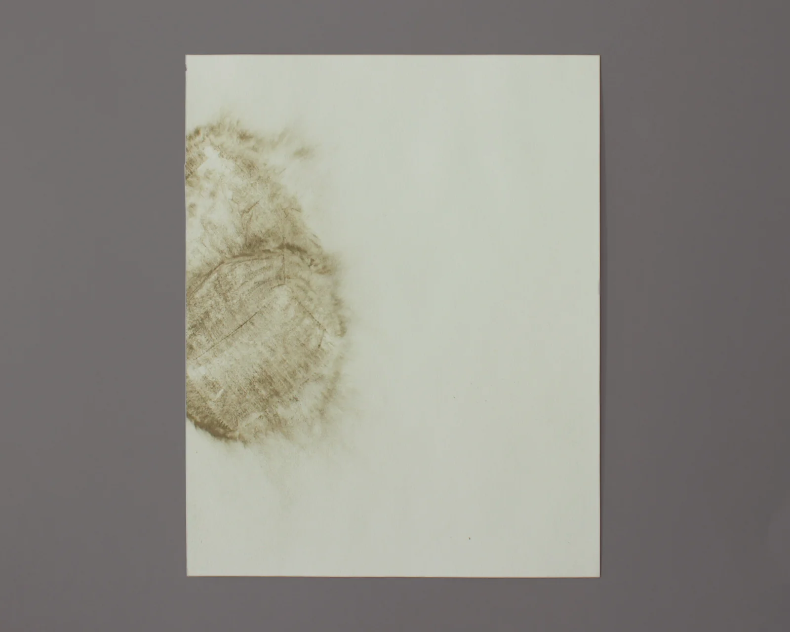 House Brick, Standard Size #3 , 2013, Uncured concrete on paper, 14"x11"