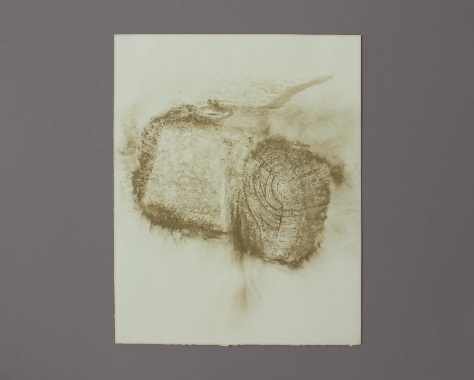 House Brick, Standard Size #6 , 2013, Uncured concrete on paper, 14"x11"