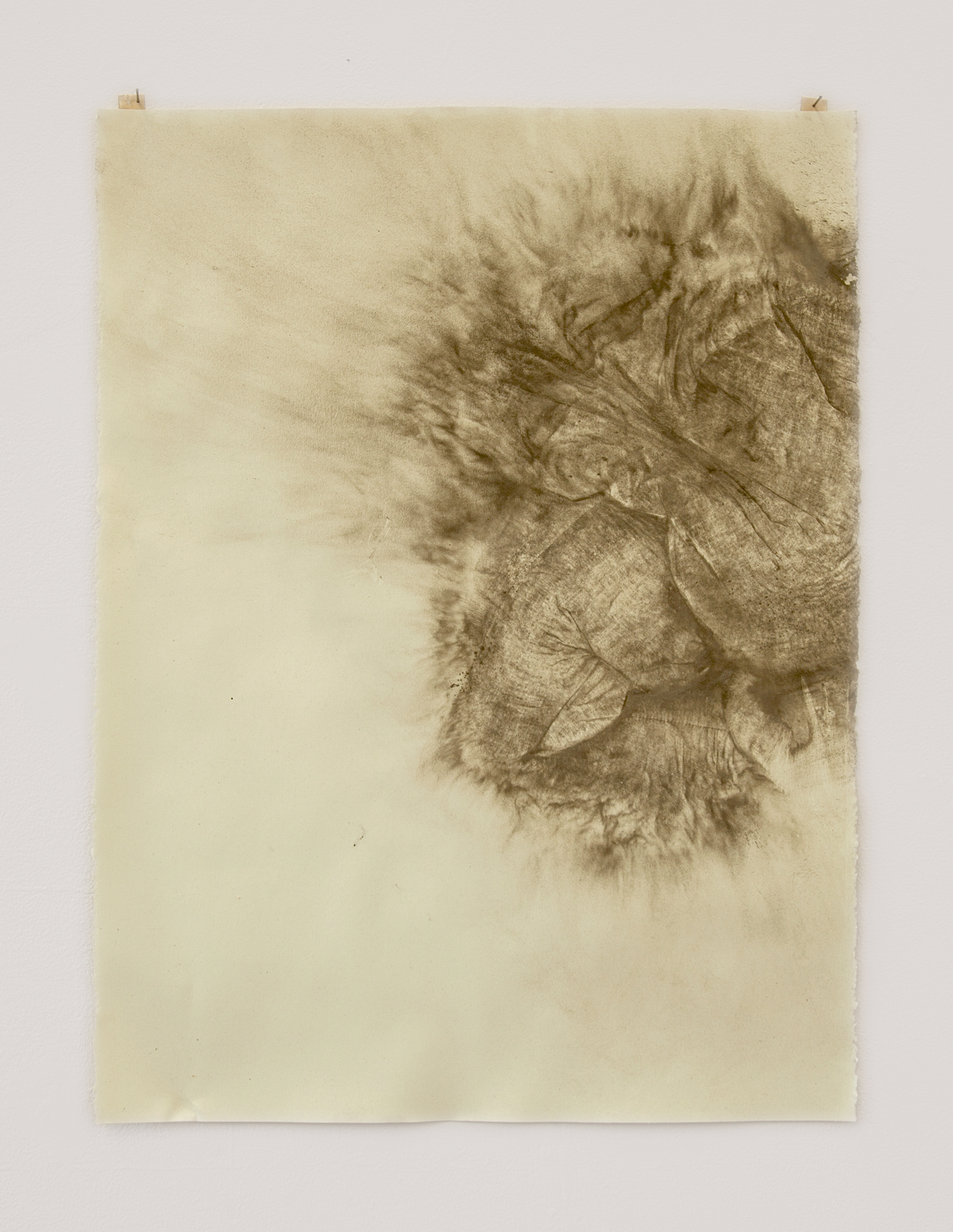 Dust Print #2 2013, uncured concrete on paper, 22"x30"
