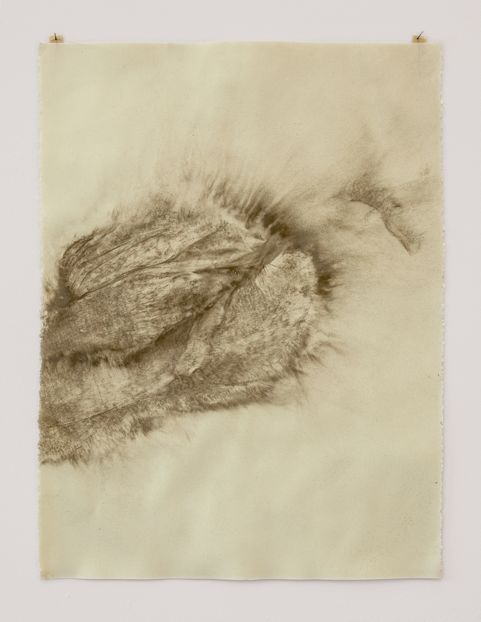 Dust Print #1 2013, uncured concrete on paper, 22"x30"