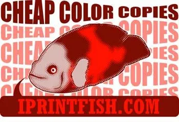 iprintfish1.jpg