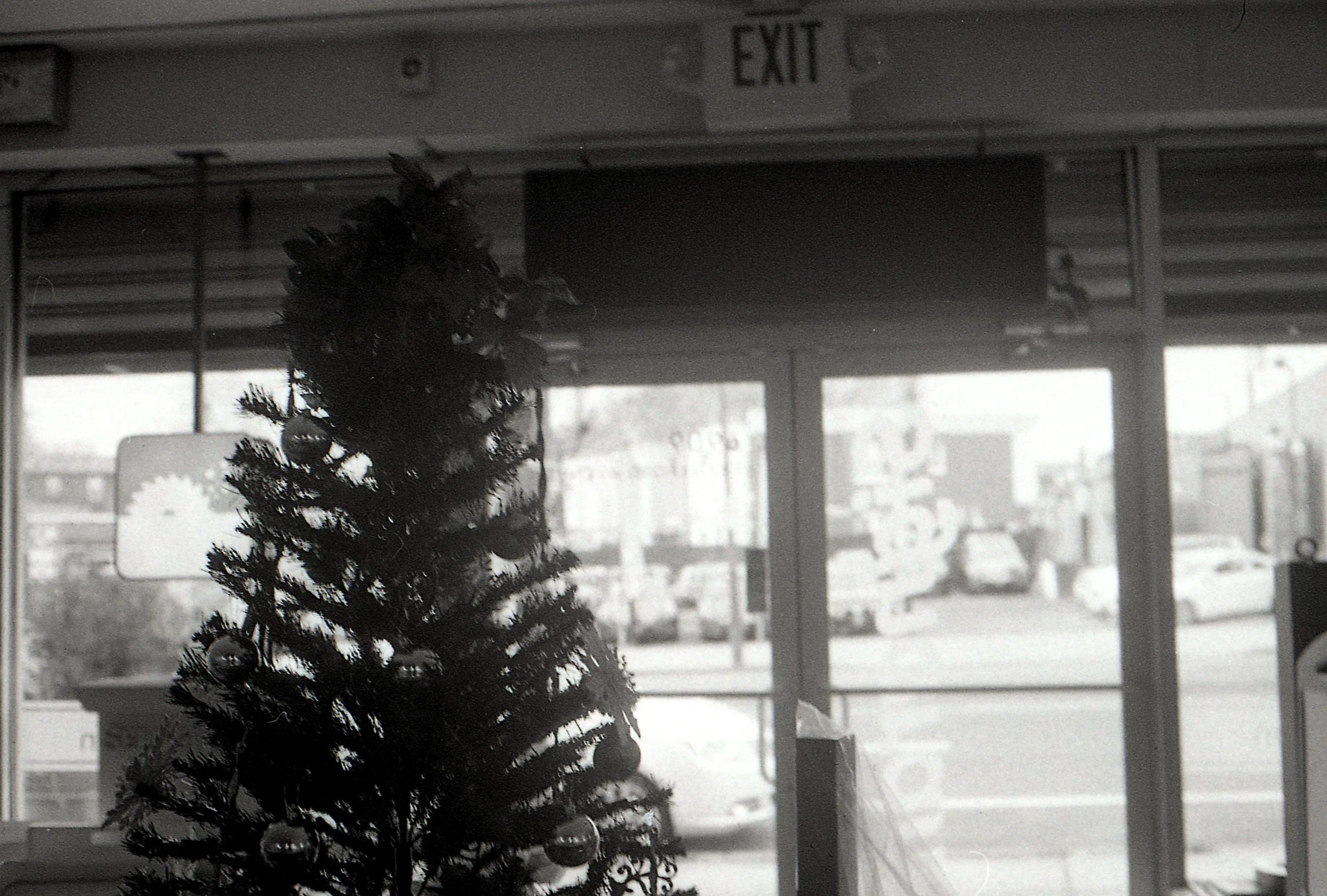 img260.jpg
