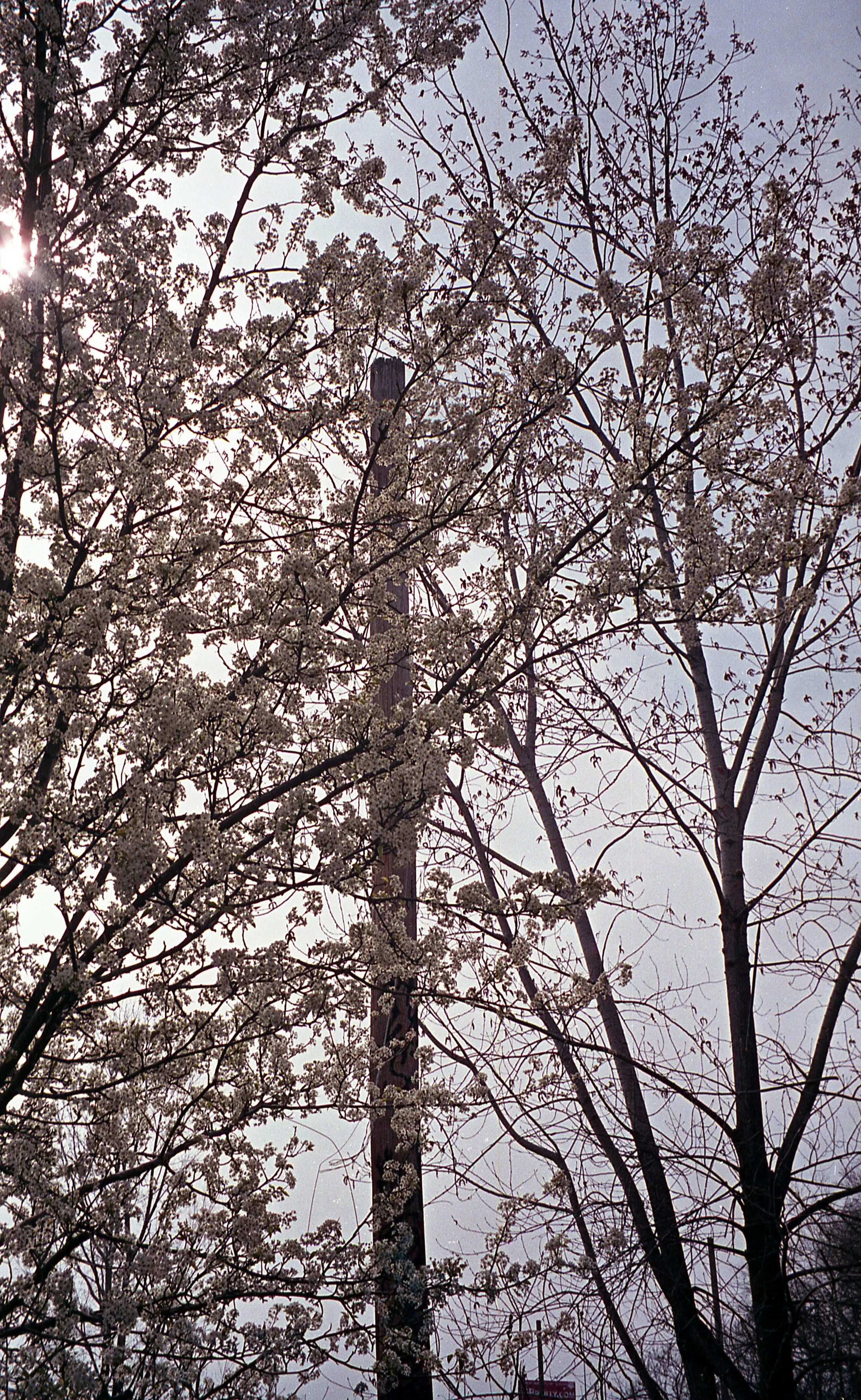 Canon_classic_Superia400_643.jpg