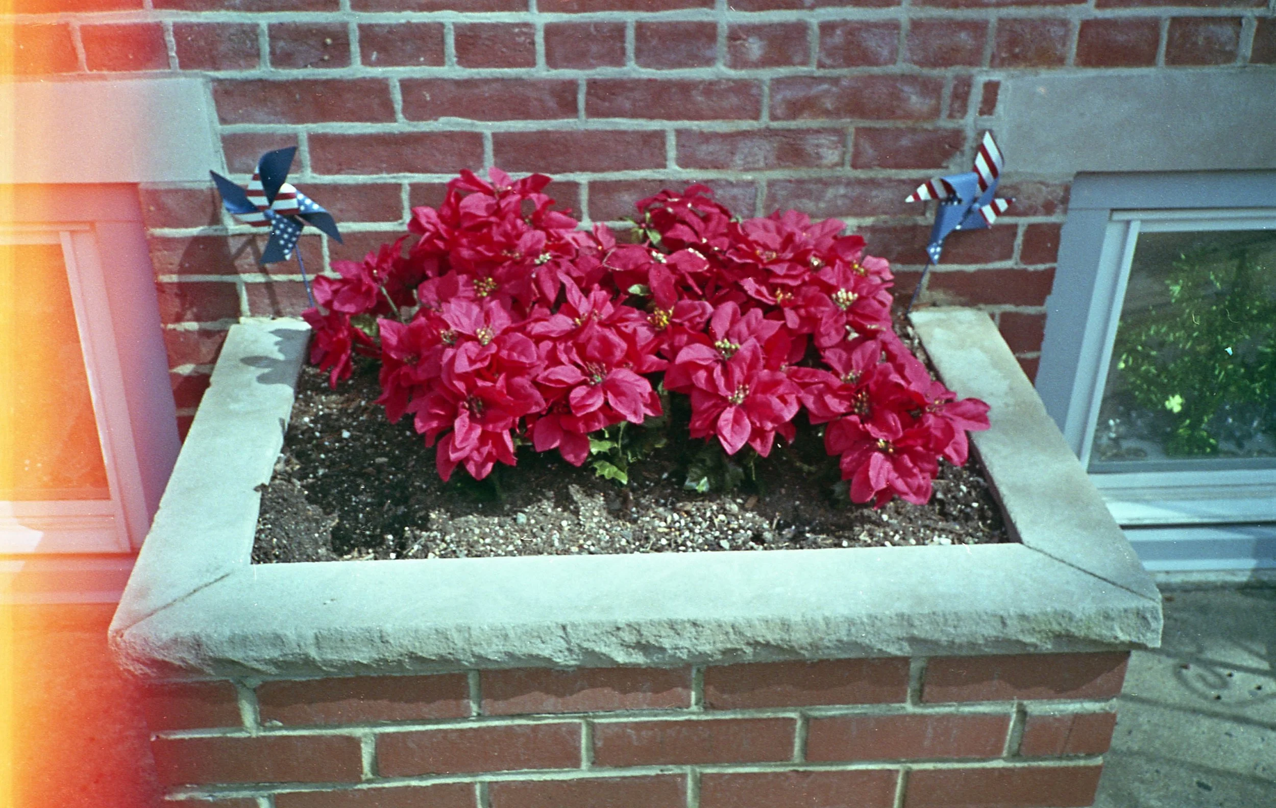 fuji_superia200597.jpg