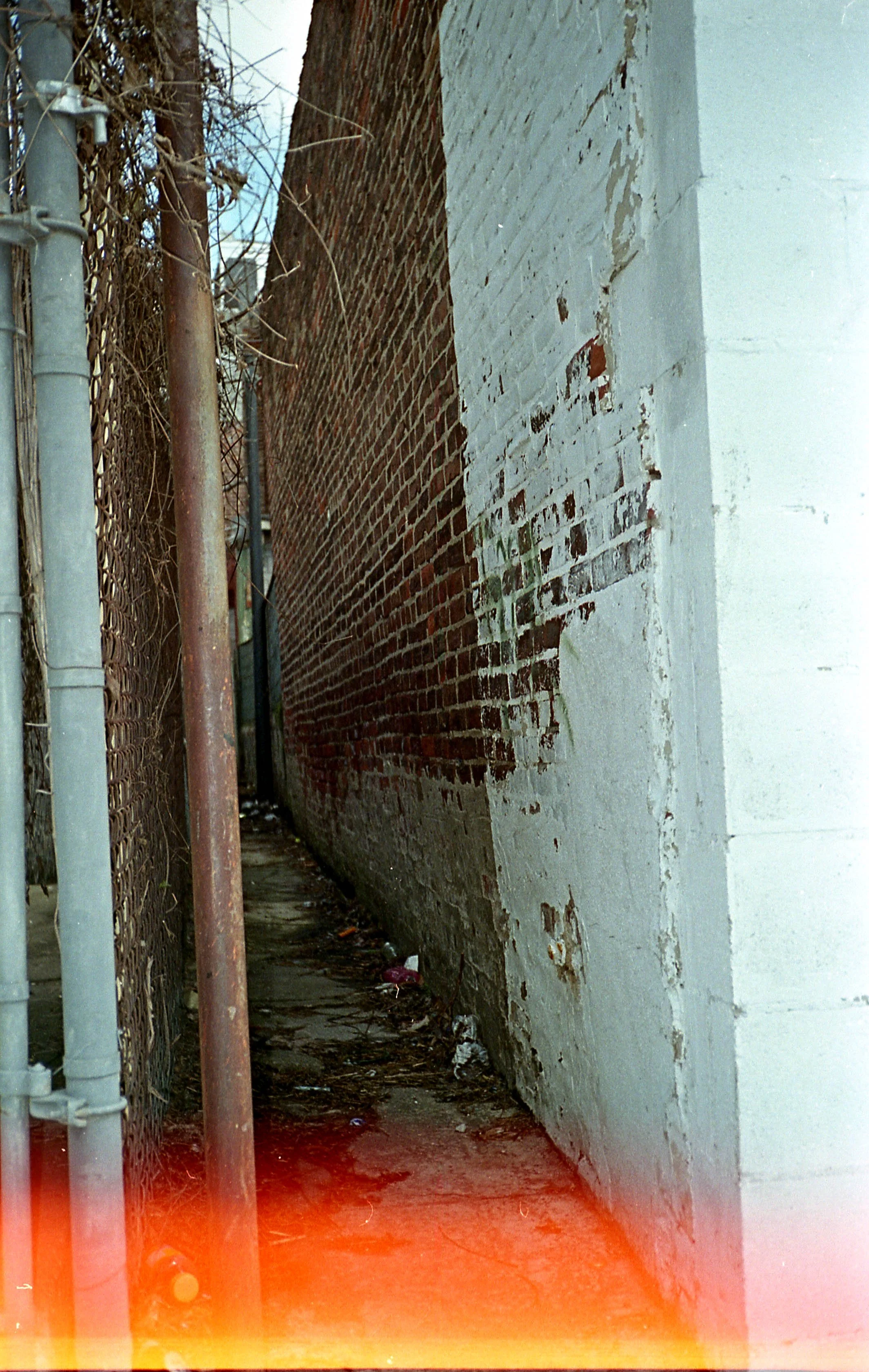 fuji_superia200607.jpg