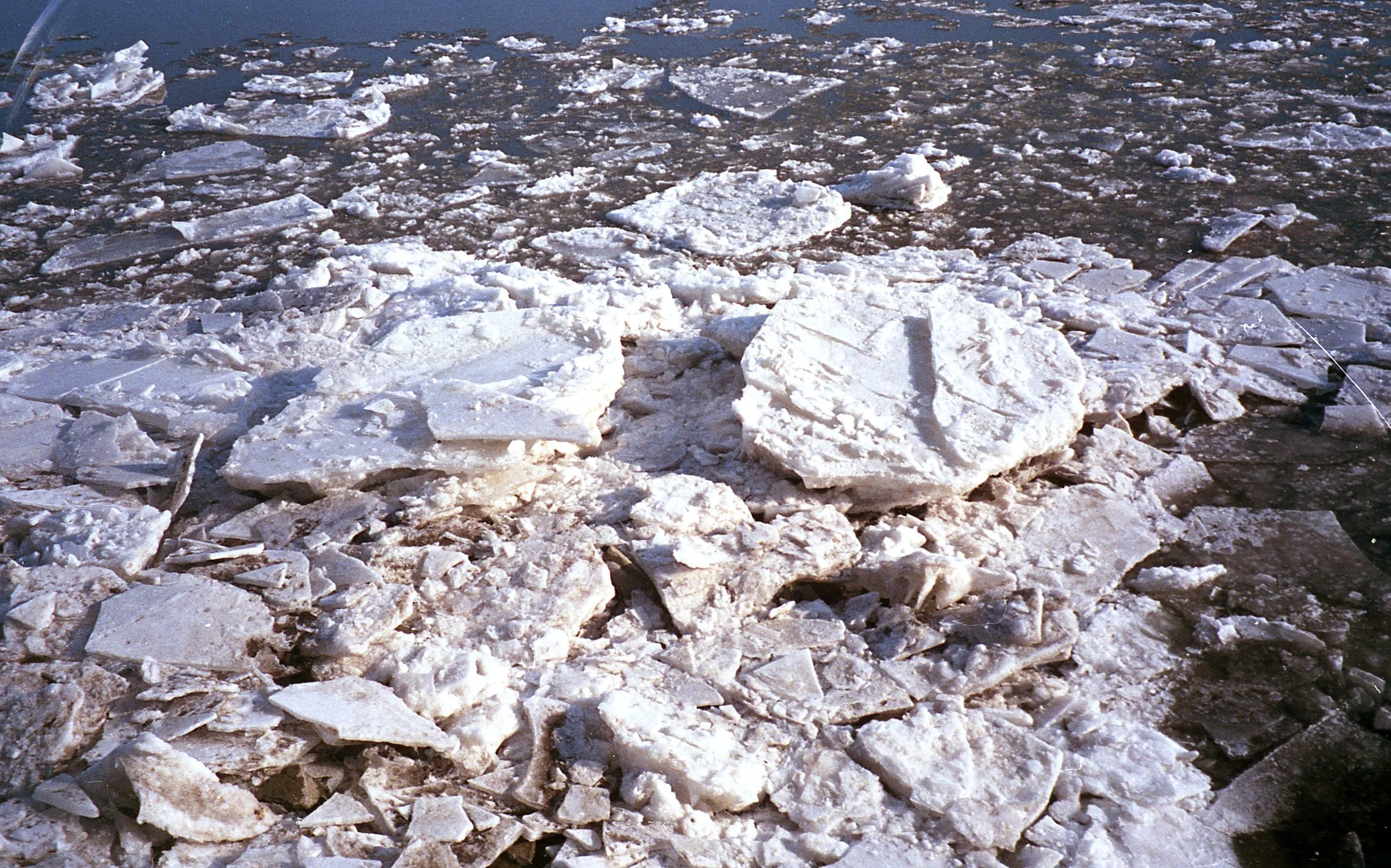 img365.jpg