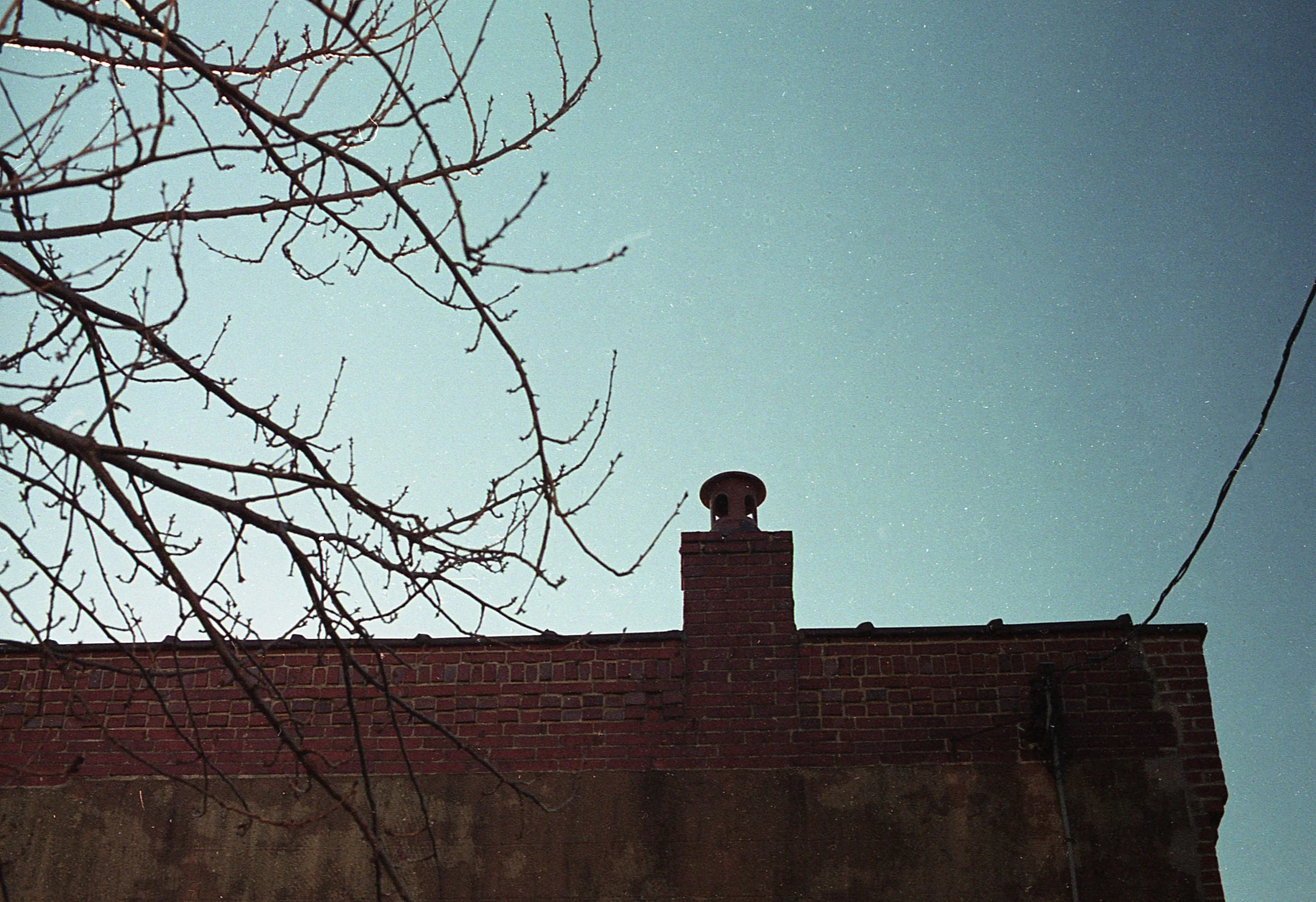 img376.jpg