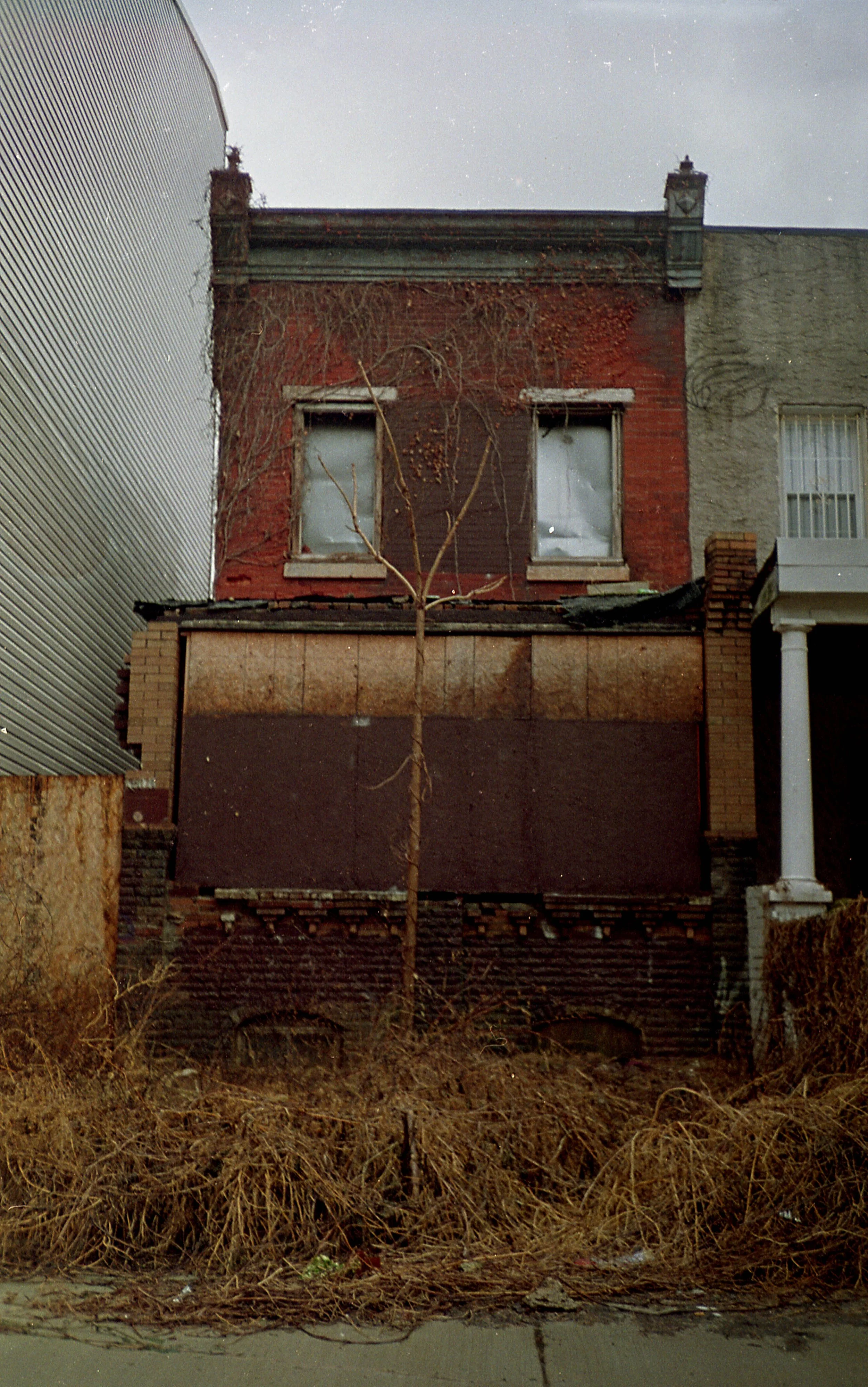 img512.jpg