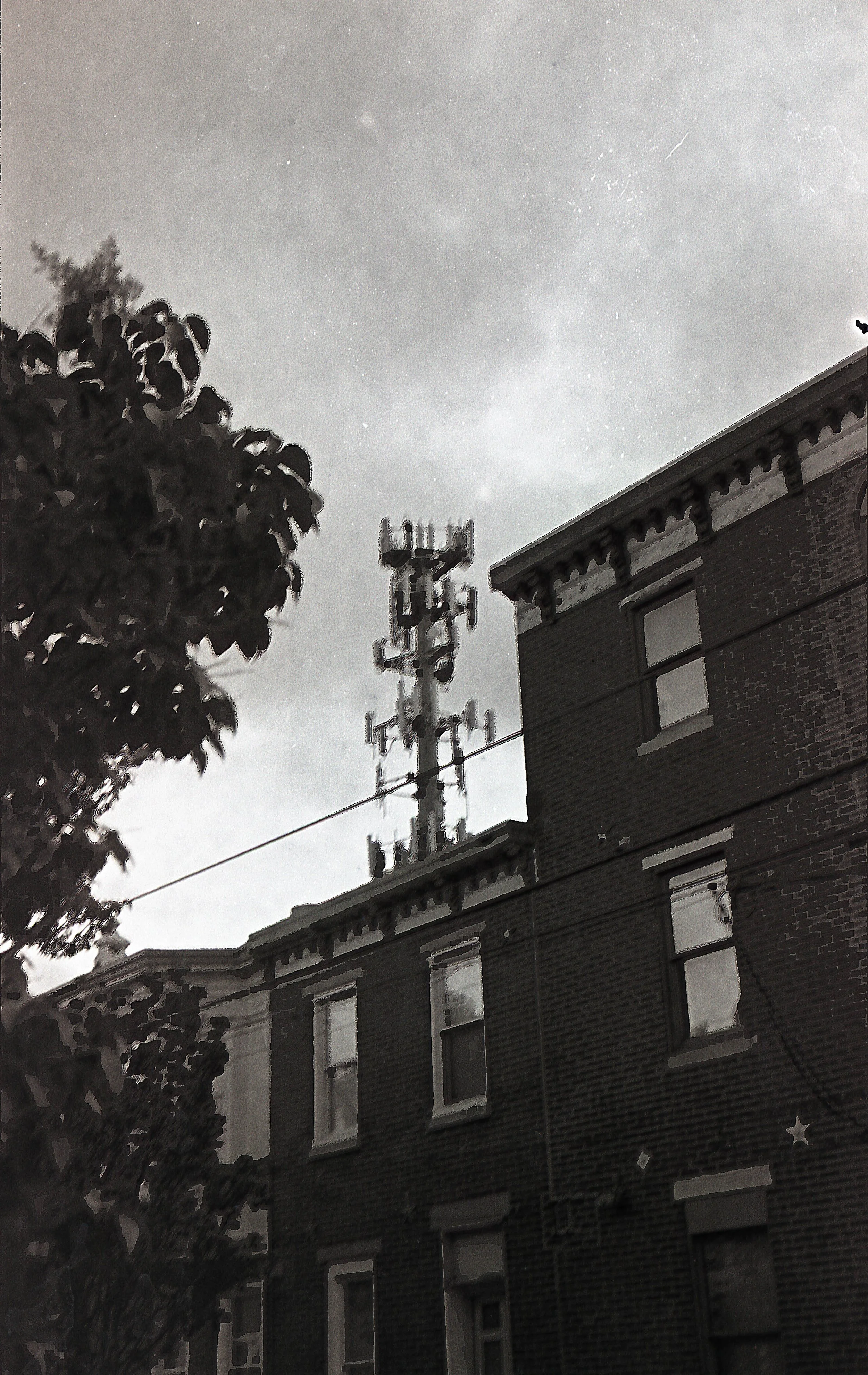 Caf_QL17_TMAX100_722.jpg