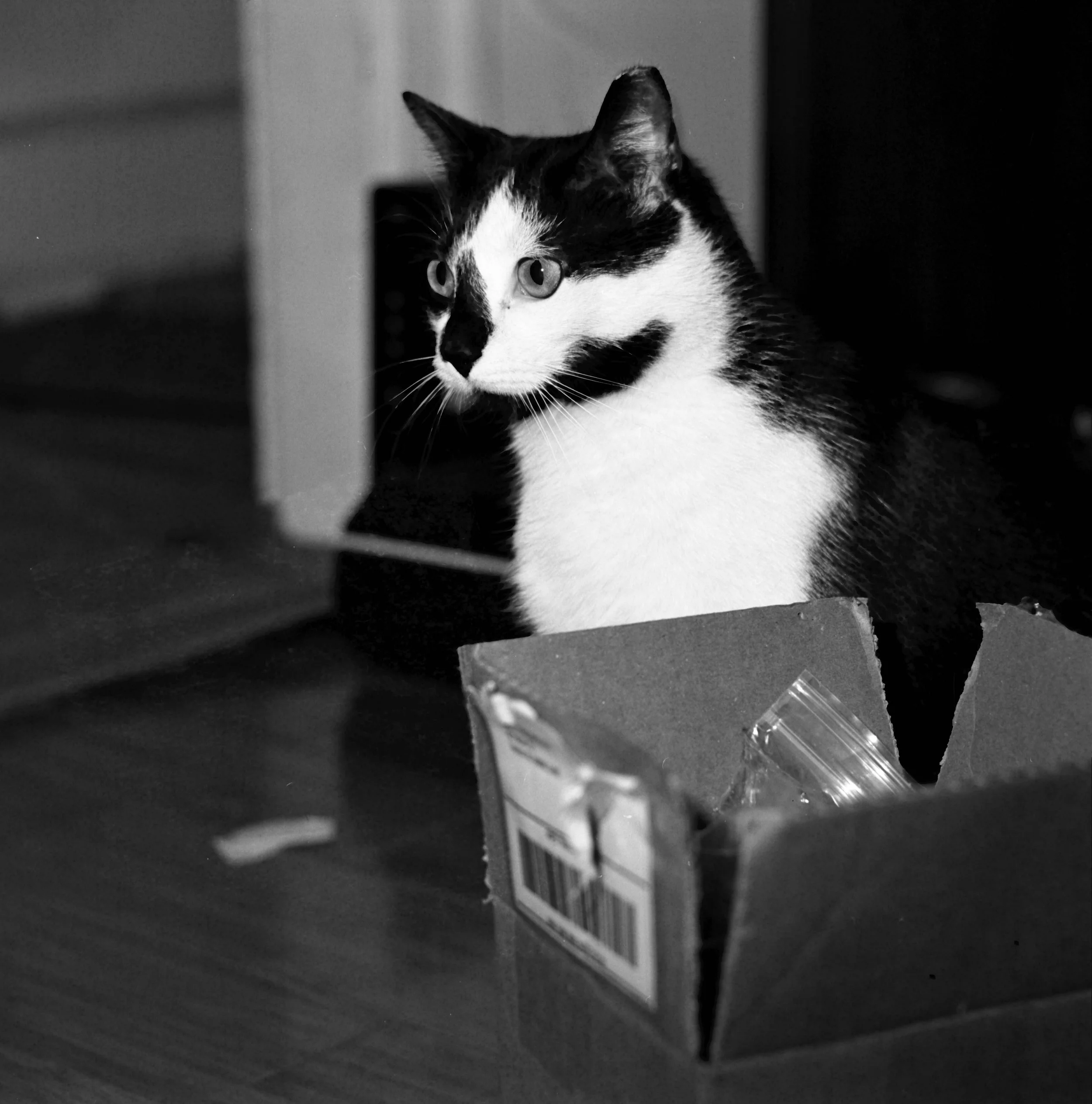 MAMIYAC3_TMAX400_069.jpg