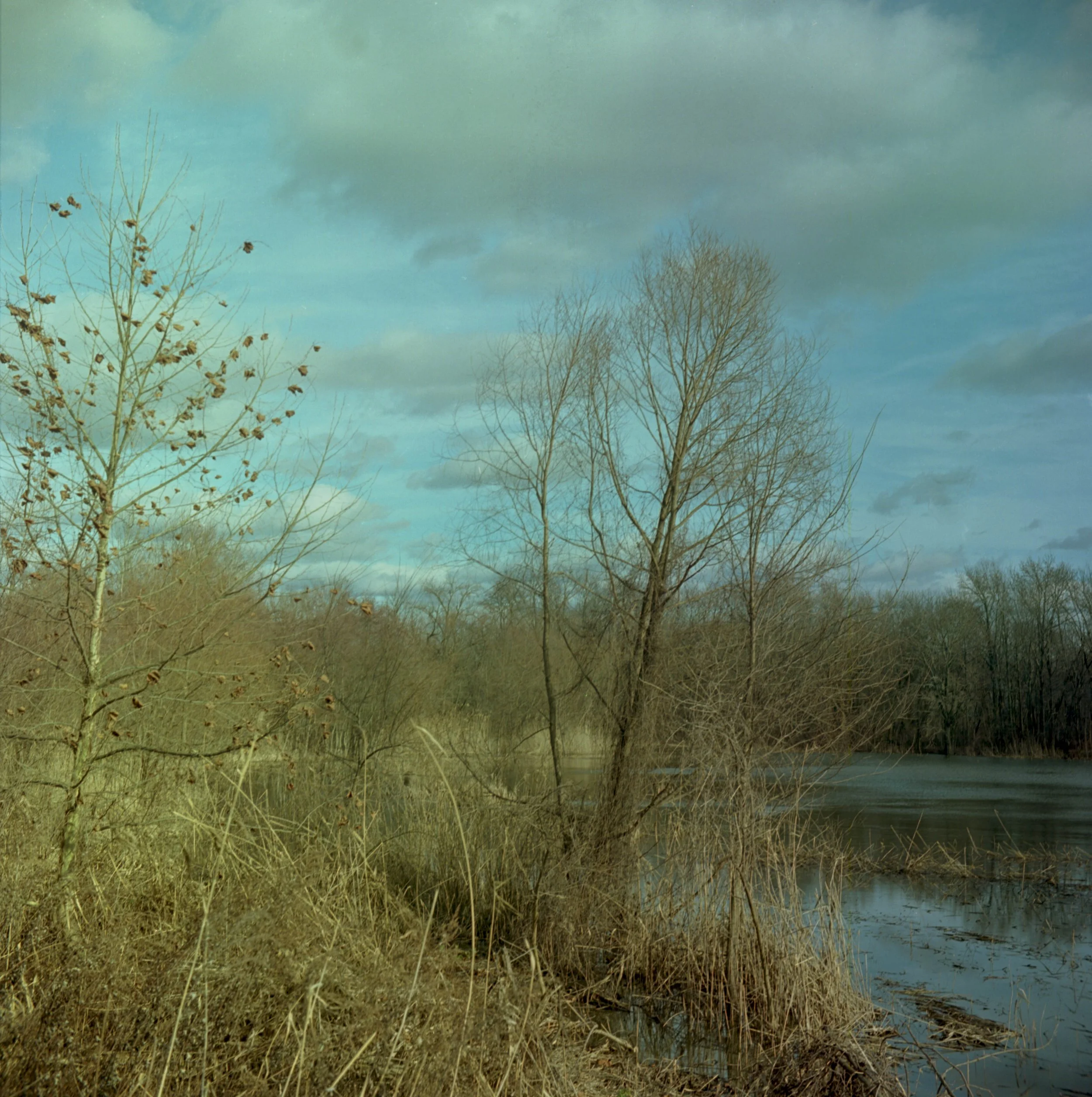 Rolleicord_Portra400_266.jpg