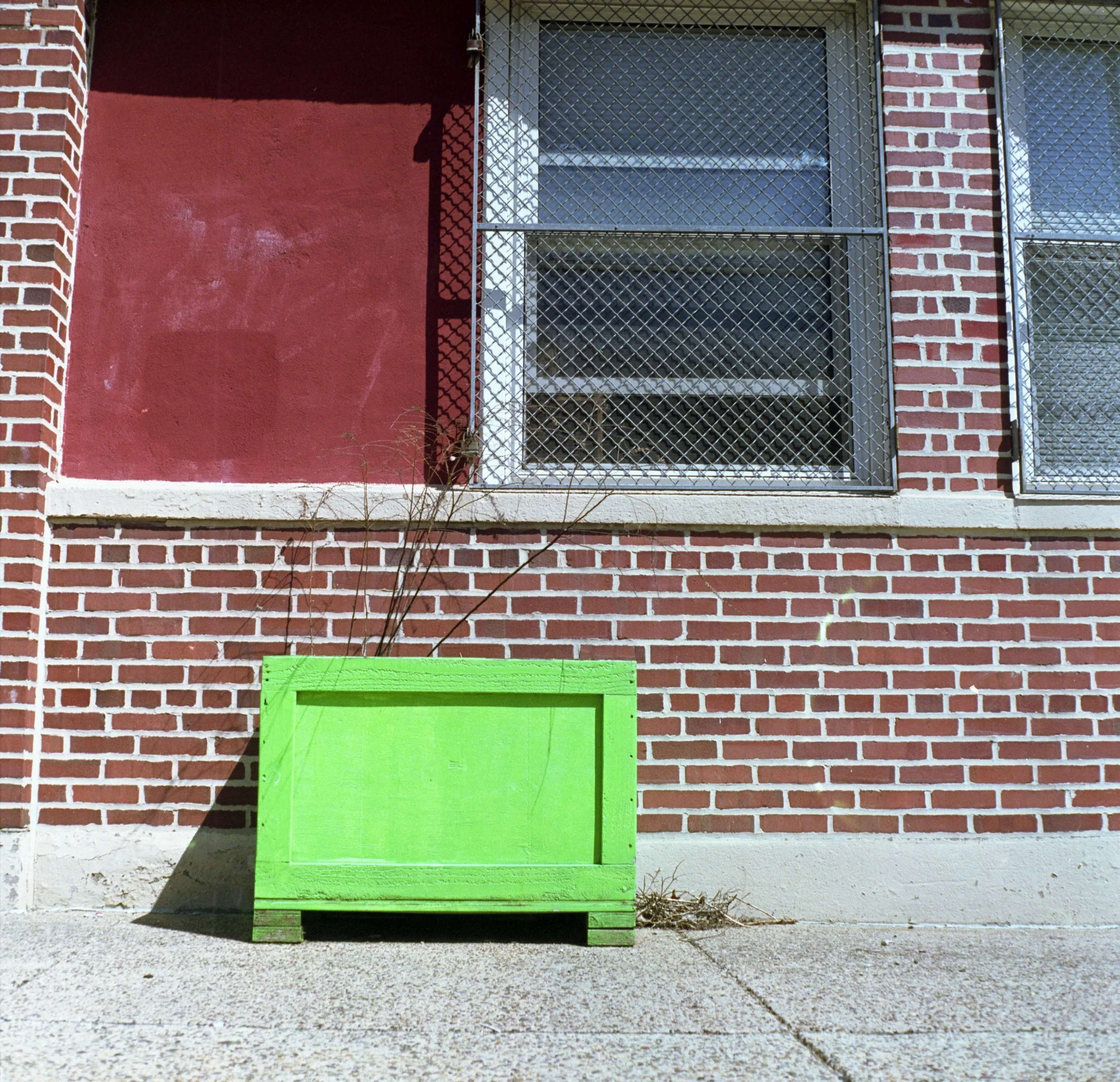 Rolleicord_Pro400H_358.jpg