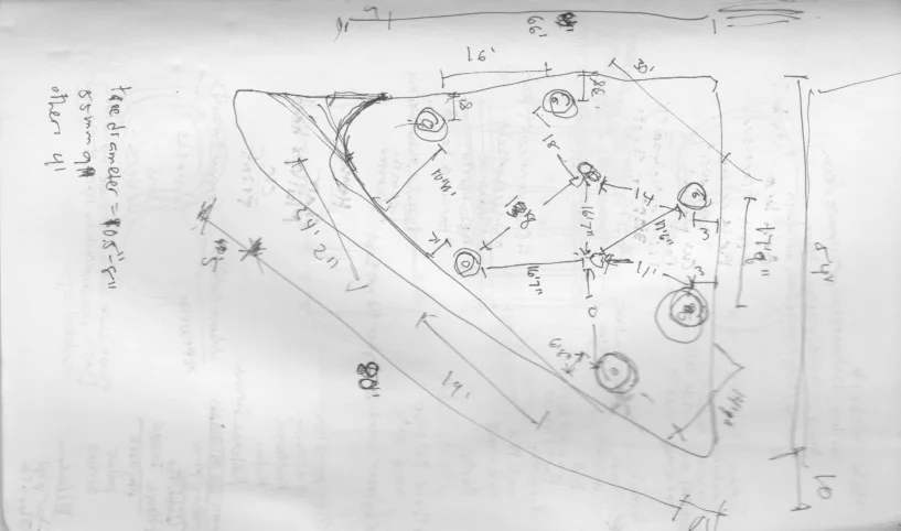 Sketch of Dudley house trees.jpeg