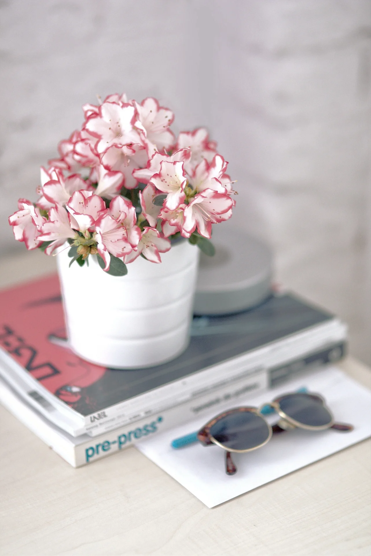 azalea-791914_1920.jpg