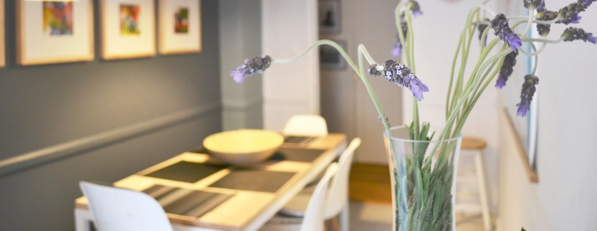 lavender-785968_1920.jpg