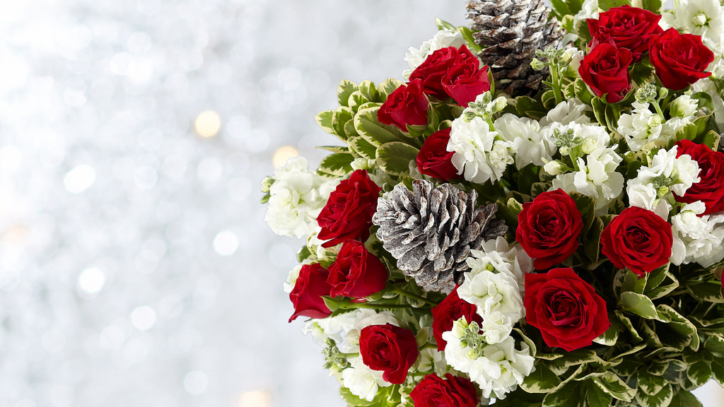 Elegant with Cones.