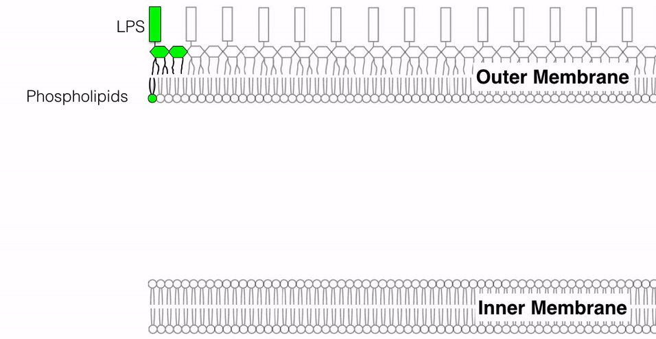 1479608302435.gif