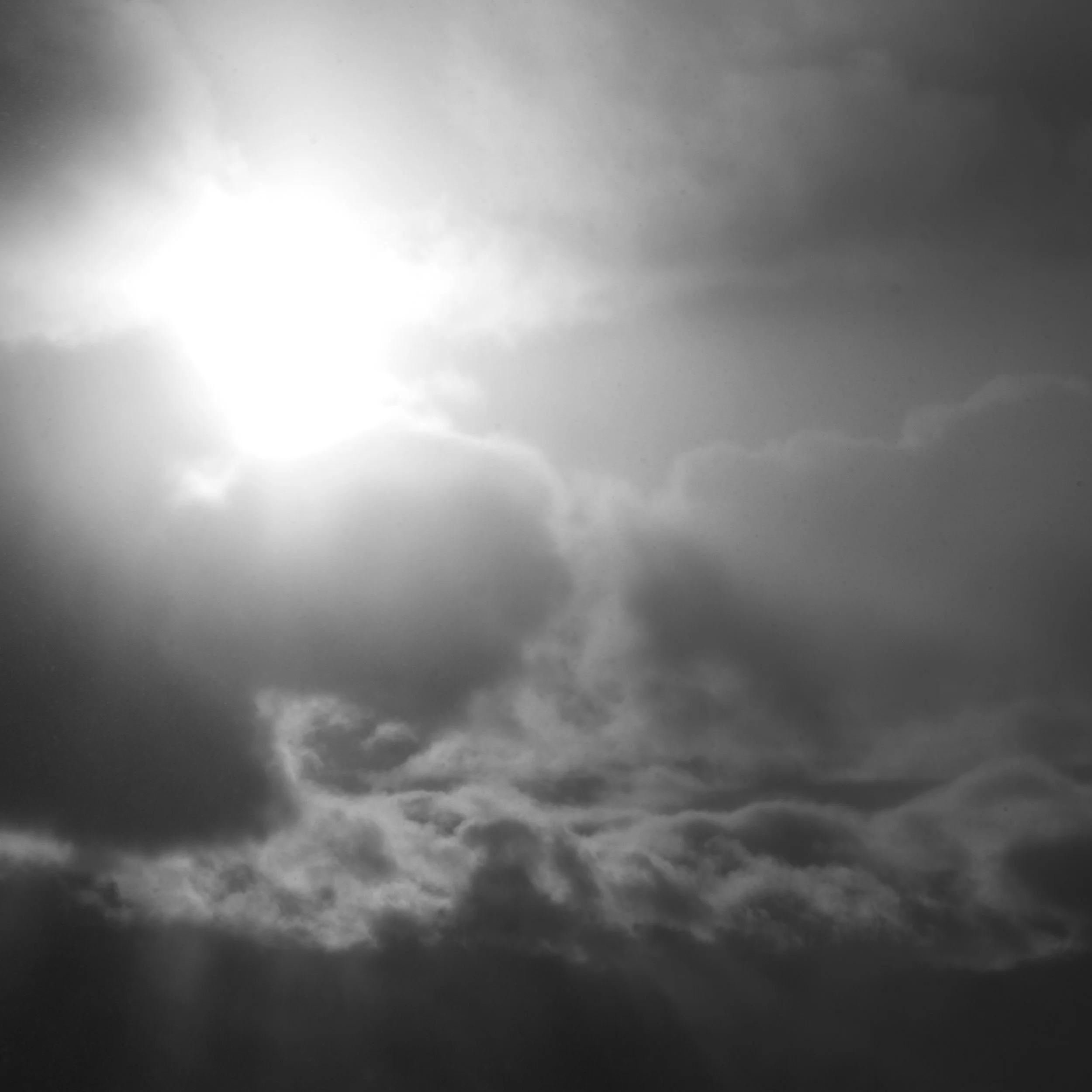 IMG_8897.jpg