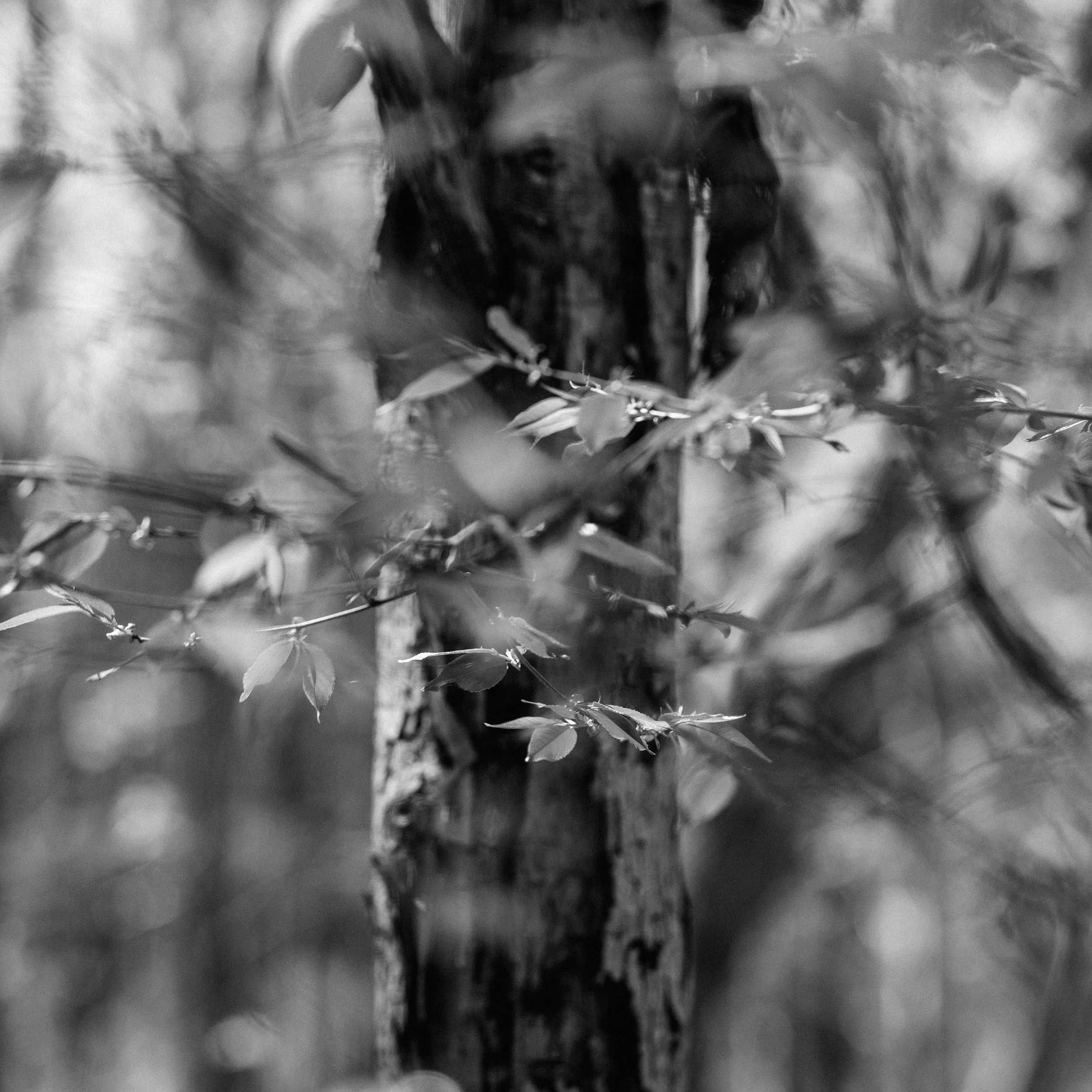 IMG_1284.jpg