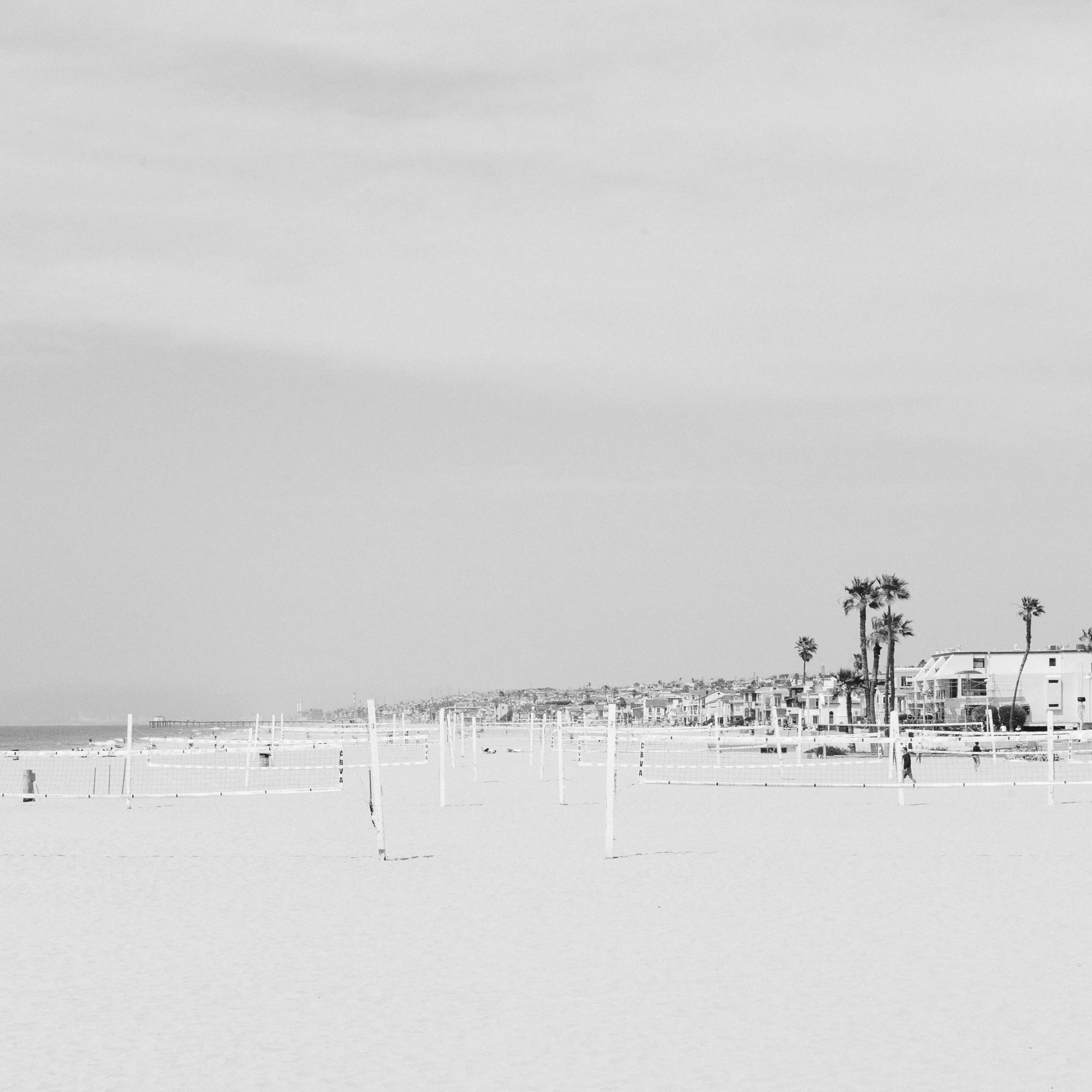 IMG_5971.jpg