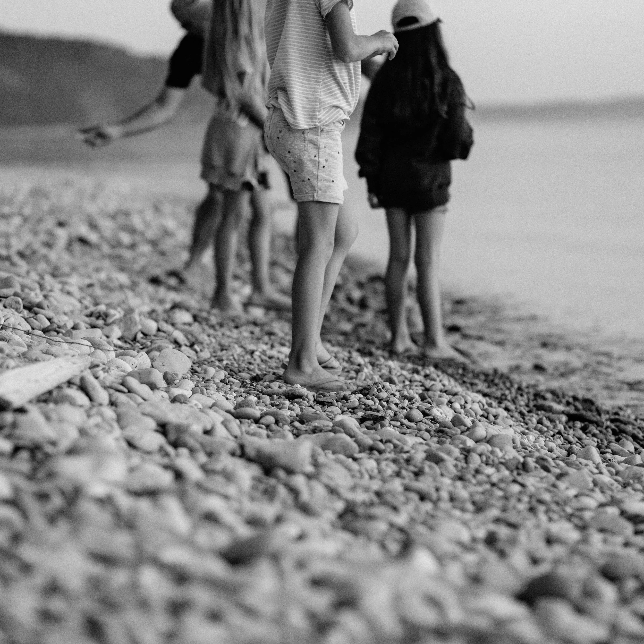 IMG_7897.jpg