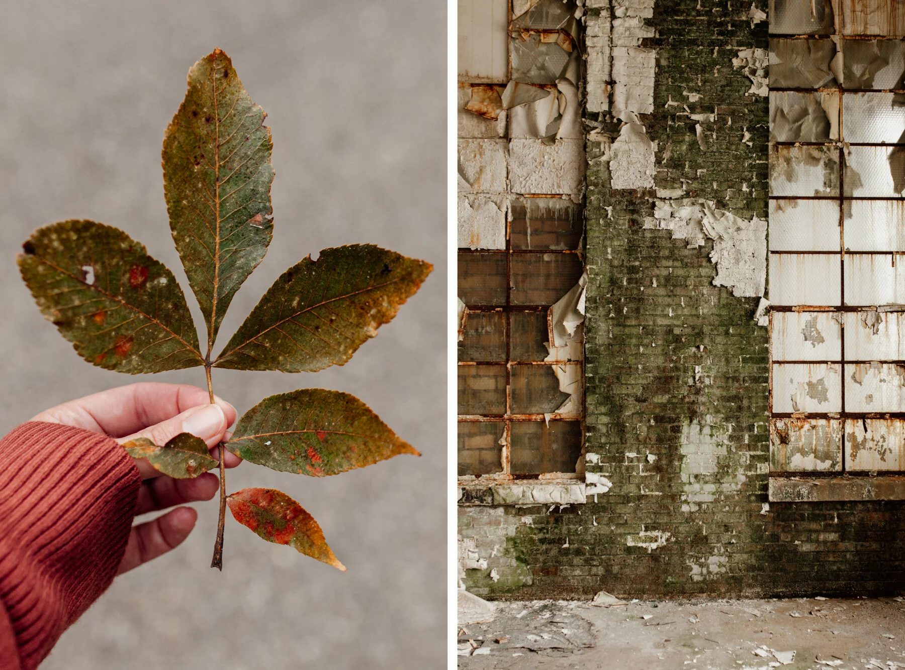 diptych2.jpg