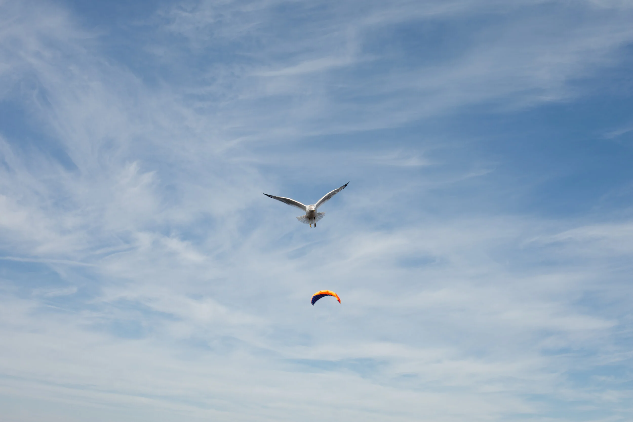 IMG_1352.jpg