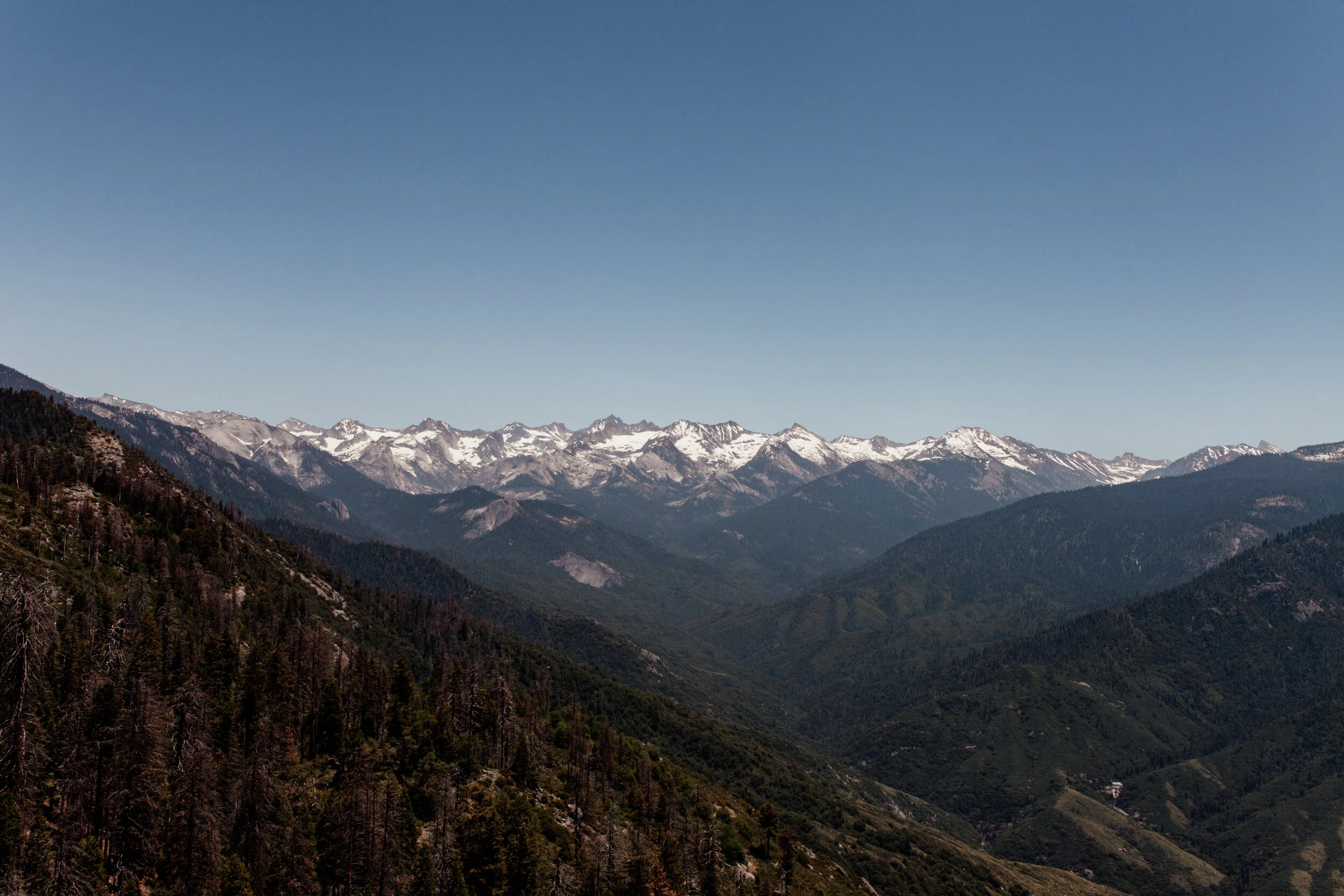 IMG_8747.jpg