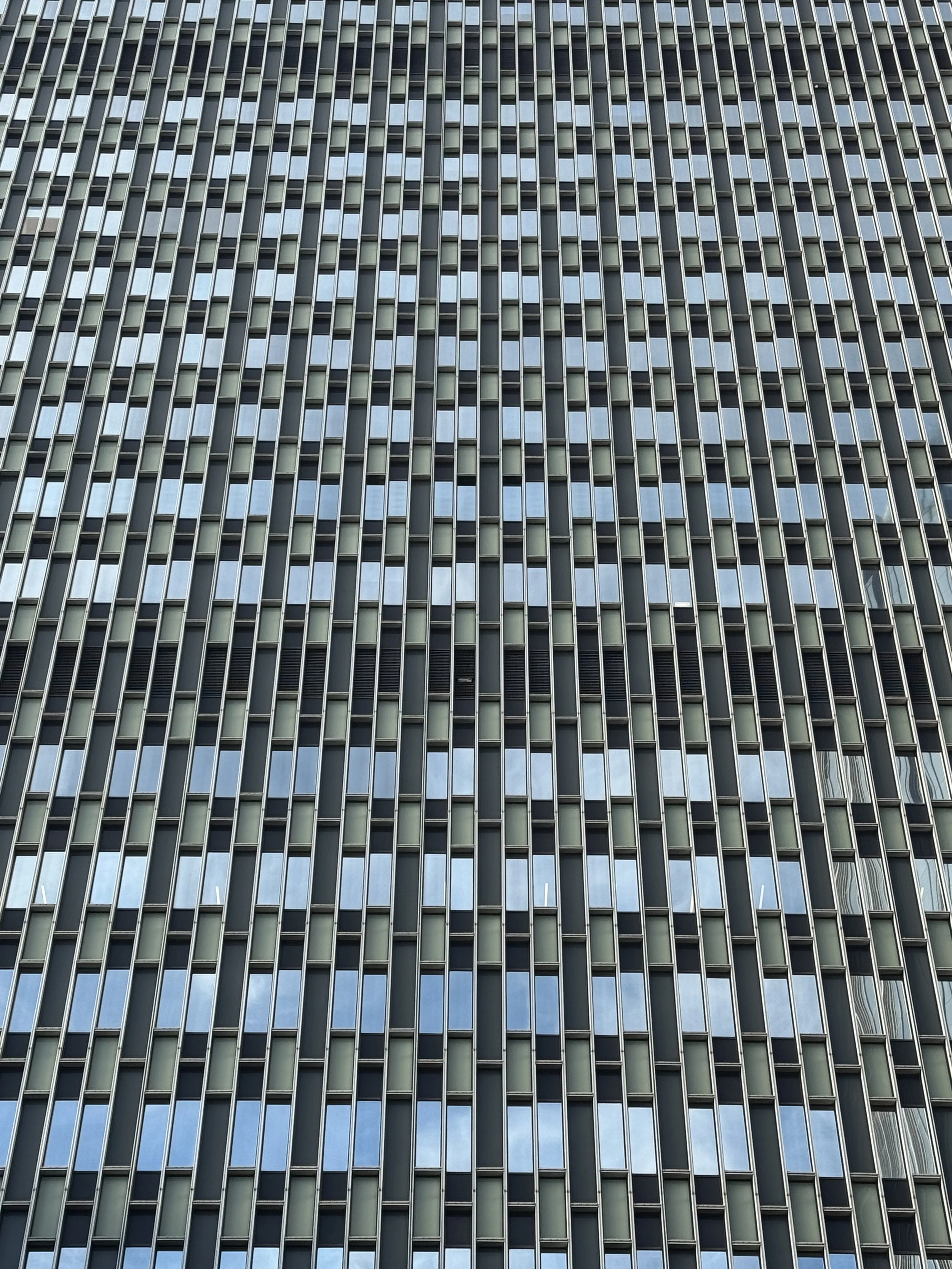 IMG_3547.jpeg