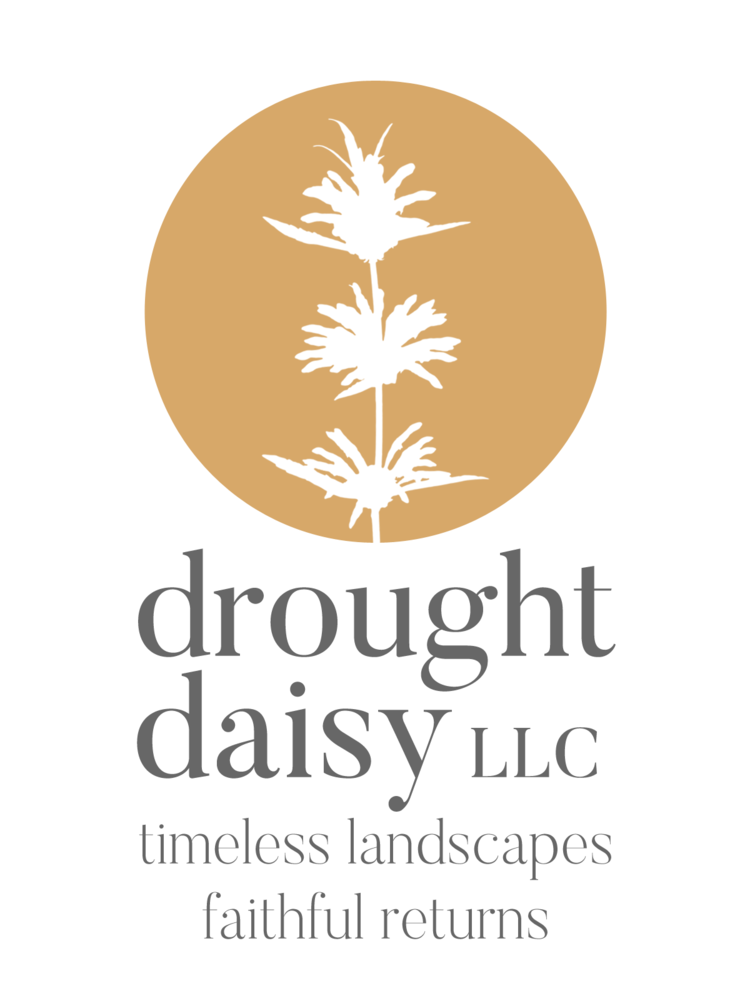 Drought Daisy, LLC