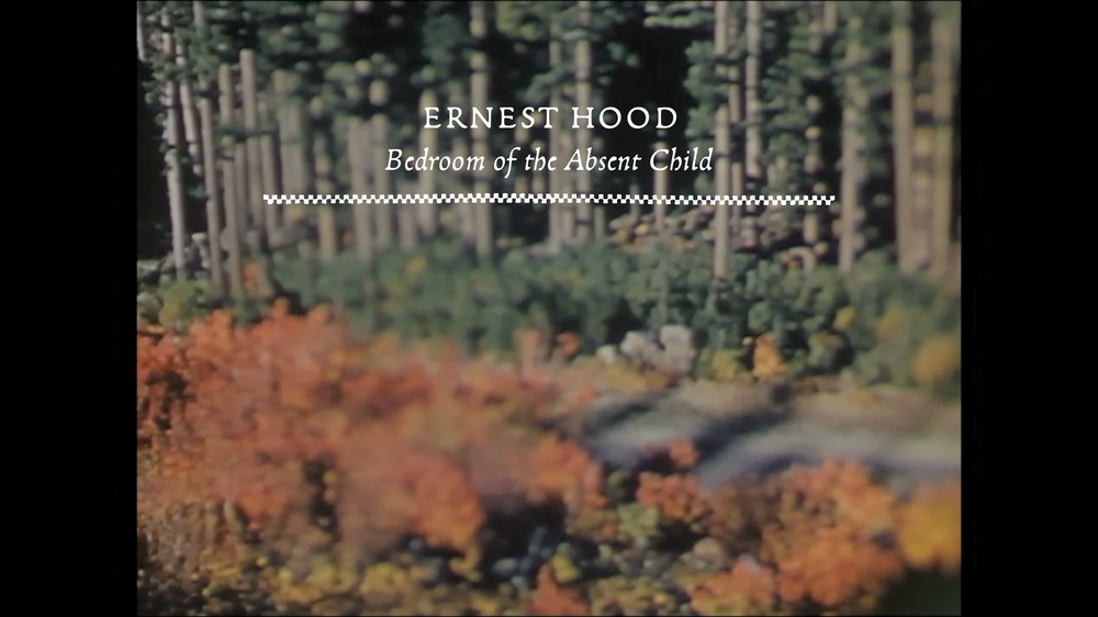 Ernest Hood - Back to the Woodlands — Freedom To Spend