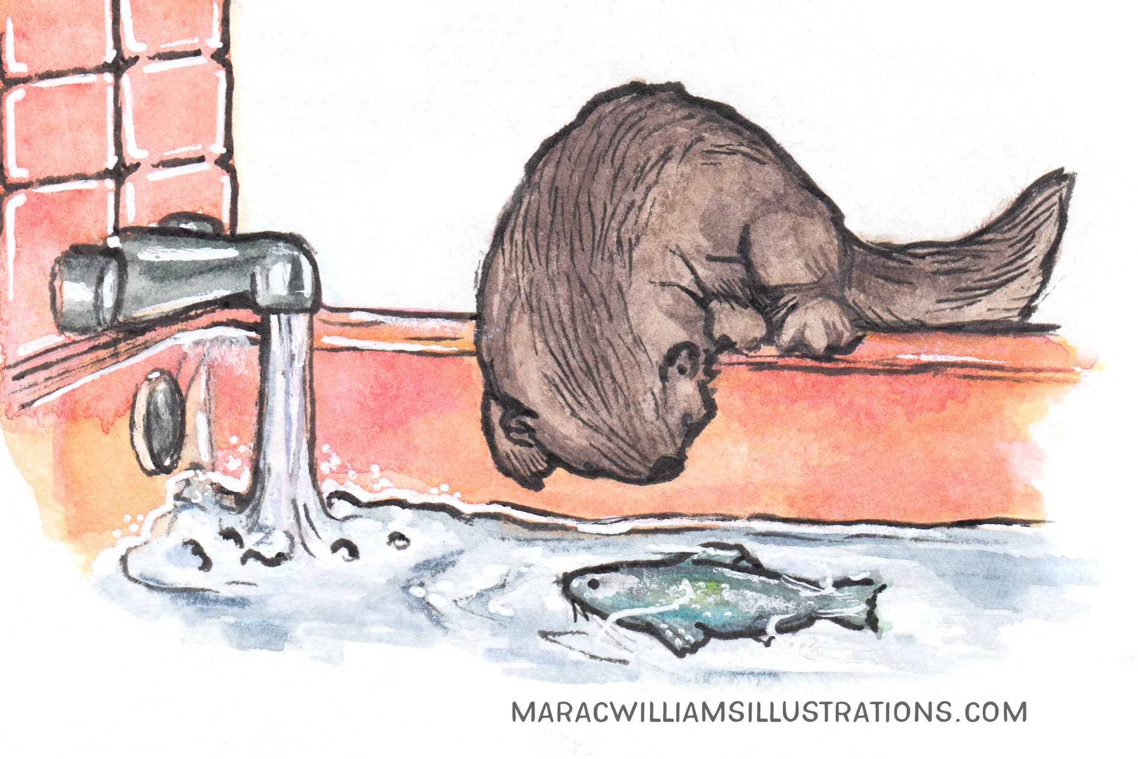 bb otter mcd.jpg
