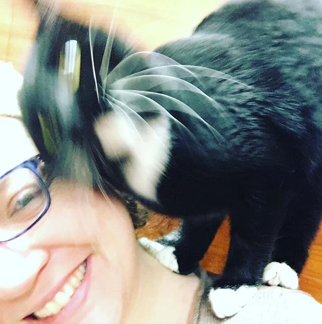 I&rsquo;m volunteering down at one of @cat.rescue.adoption.network catteries. Shasta is a pirate cat. And my favorite. #catsofinstagram #piratecat #shouldercat