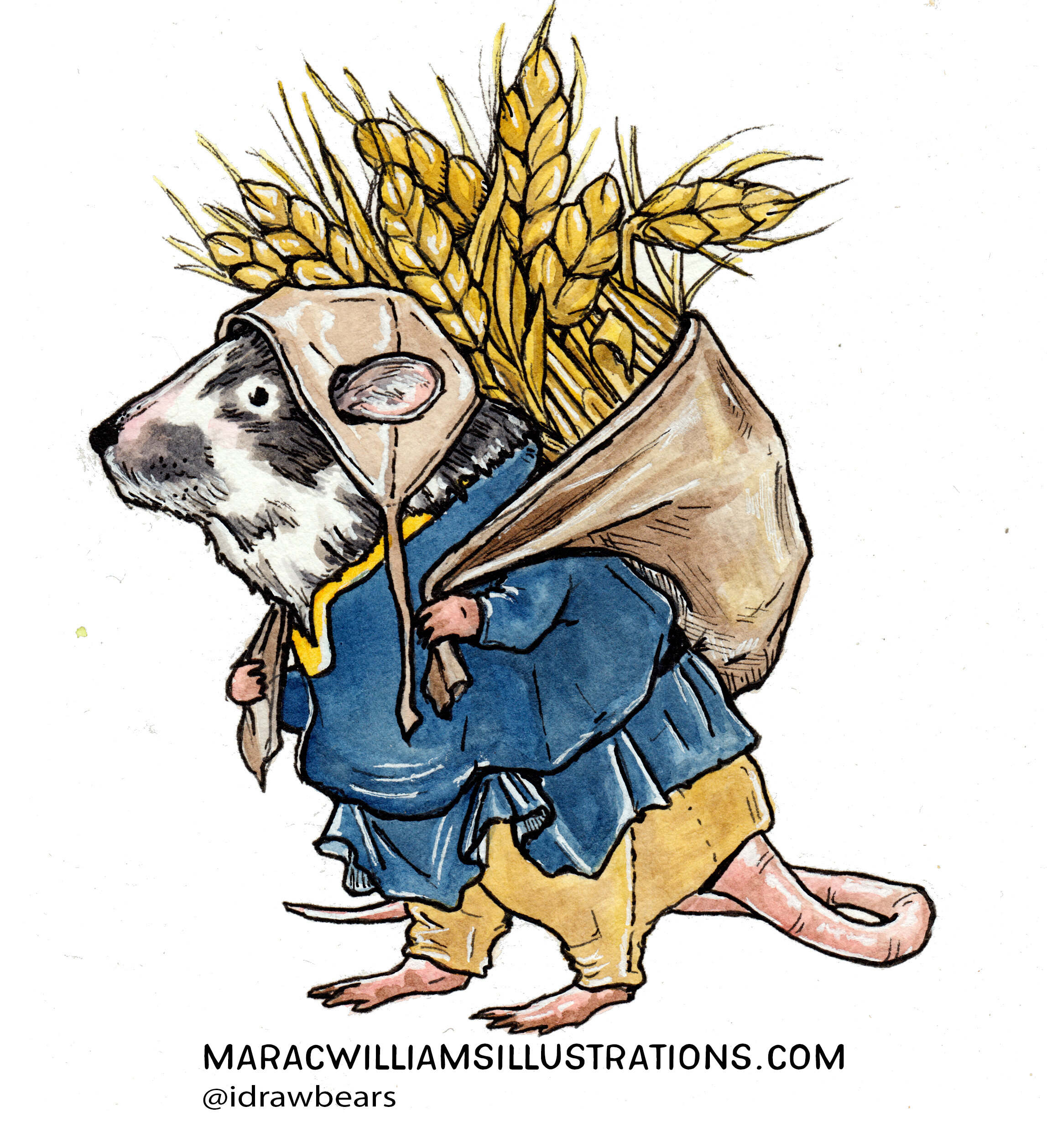 Mabinogion Third Branch 
