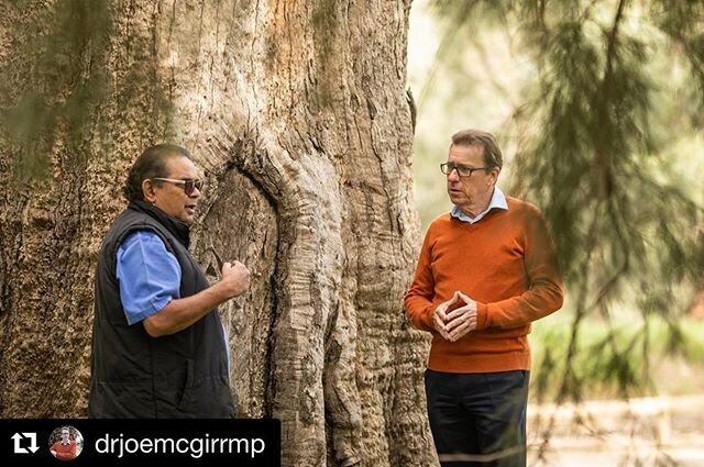 Last week I was lucky enough to capture Uncle James discussing this magnificent scar tree with Dr Joe McGirr. I am so happy to see it shared on such an important day.  #Repost @drjoemcgirrmp with @get_repost
・・・
Today - National Sorry Day - I&rsquo;d
