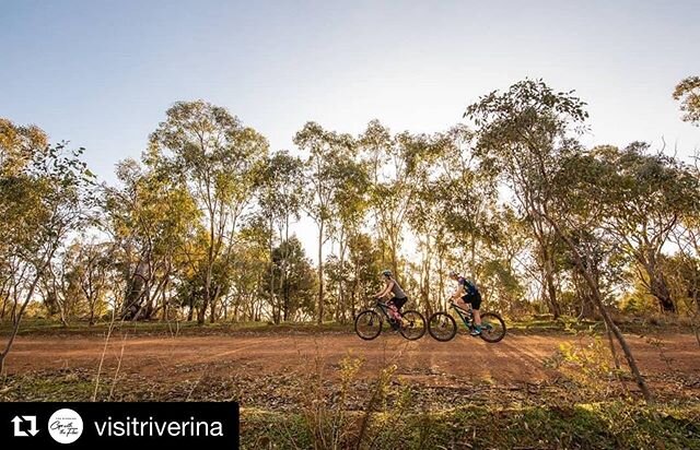 #Repost @visitriverina with @get_repost
・・・
🍂🌳 Fresh air is the best air 🌳🍂 The Wiradjuri Trail offers 42km of track along the Murrumbidgee River, past the Marrambidya Wetlands and through bushland around Wagga Wagga. So grab your walking shoes, 