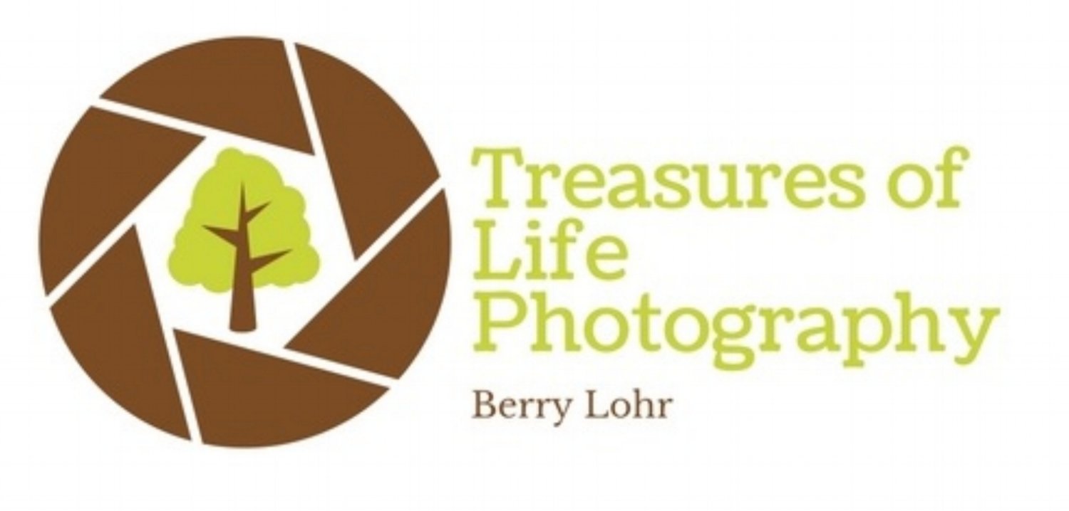 Treasures of Life Photography