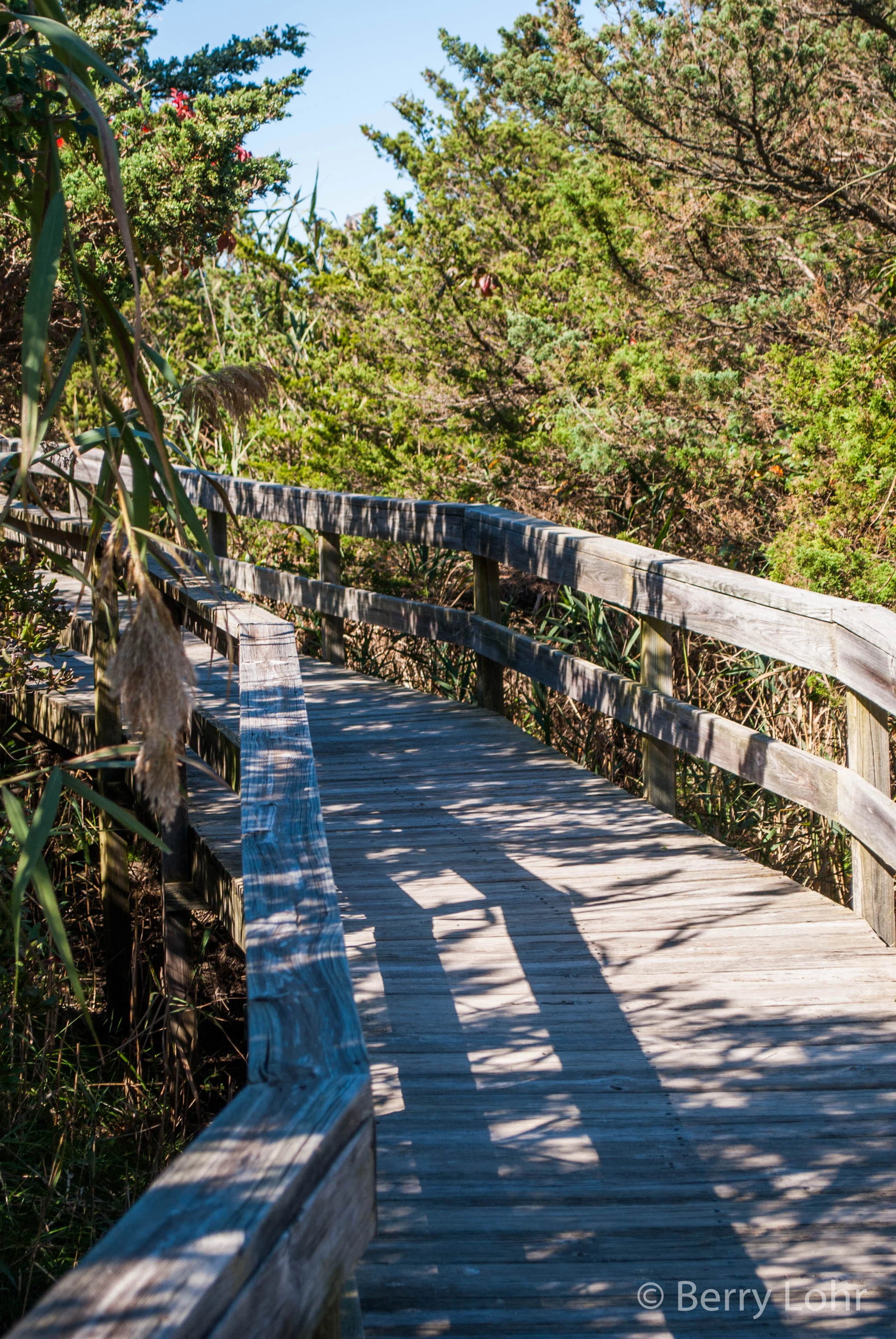 Robert Moses State Park 10