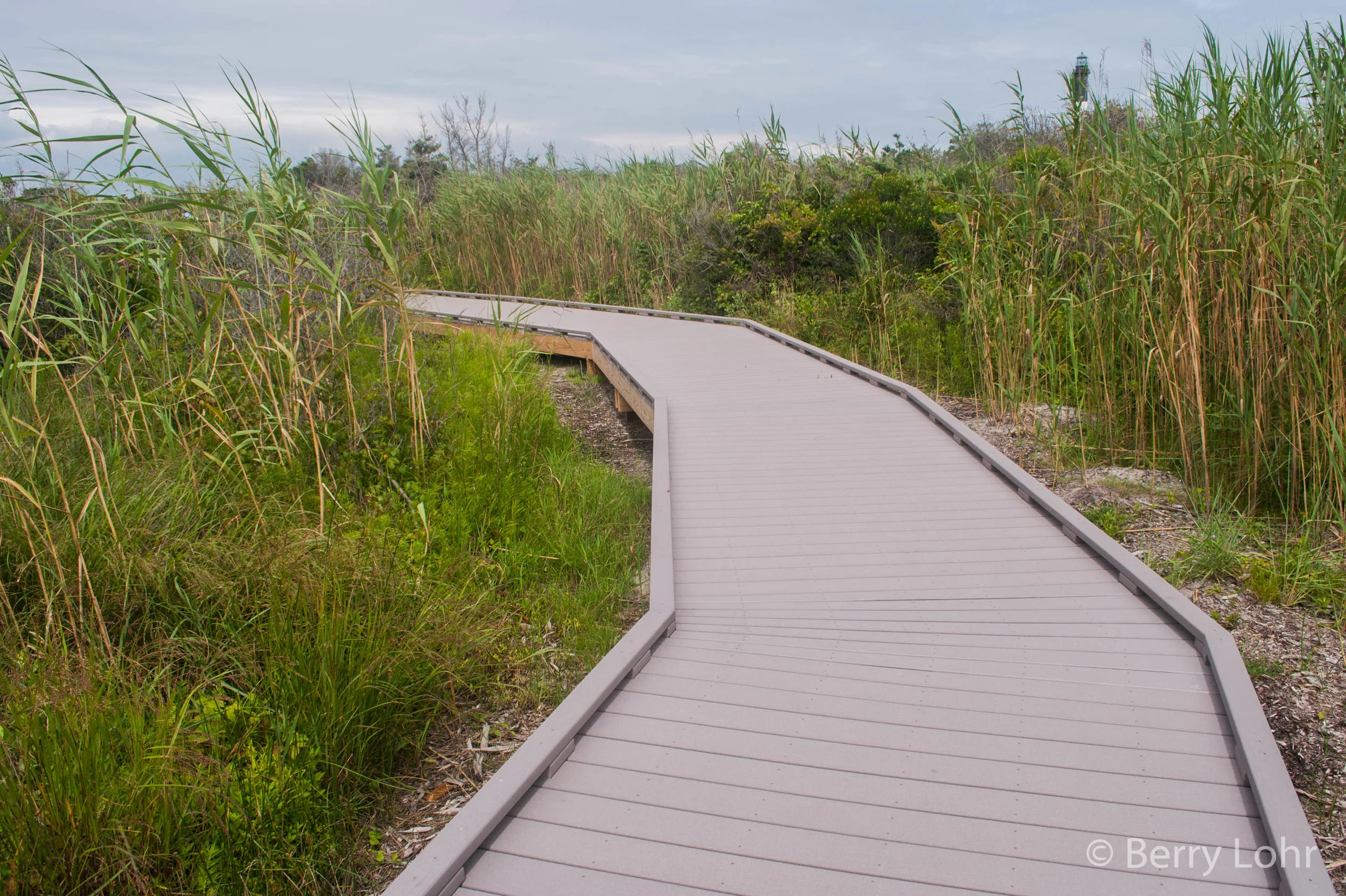Robert Moses State Park 23