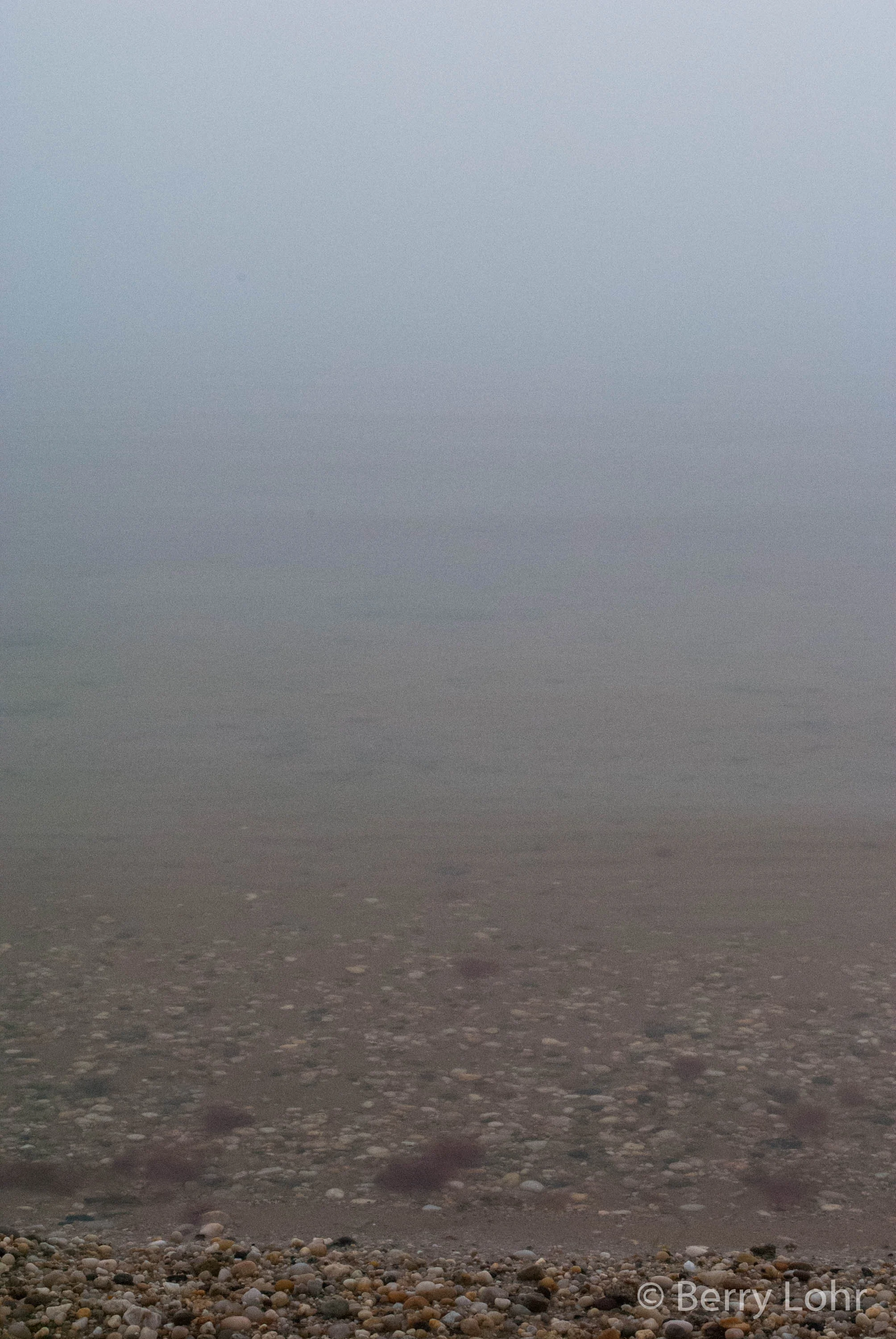 Foggy Day 5