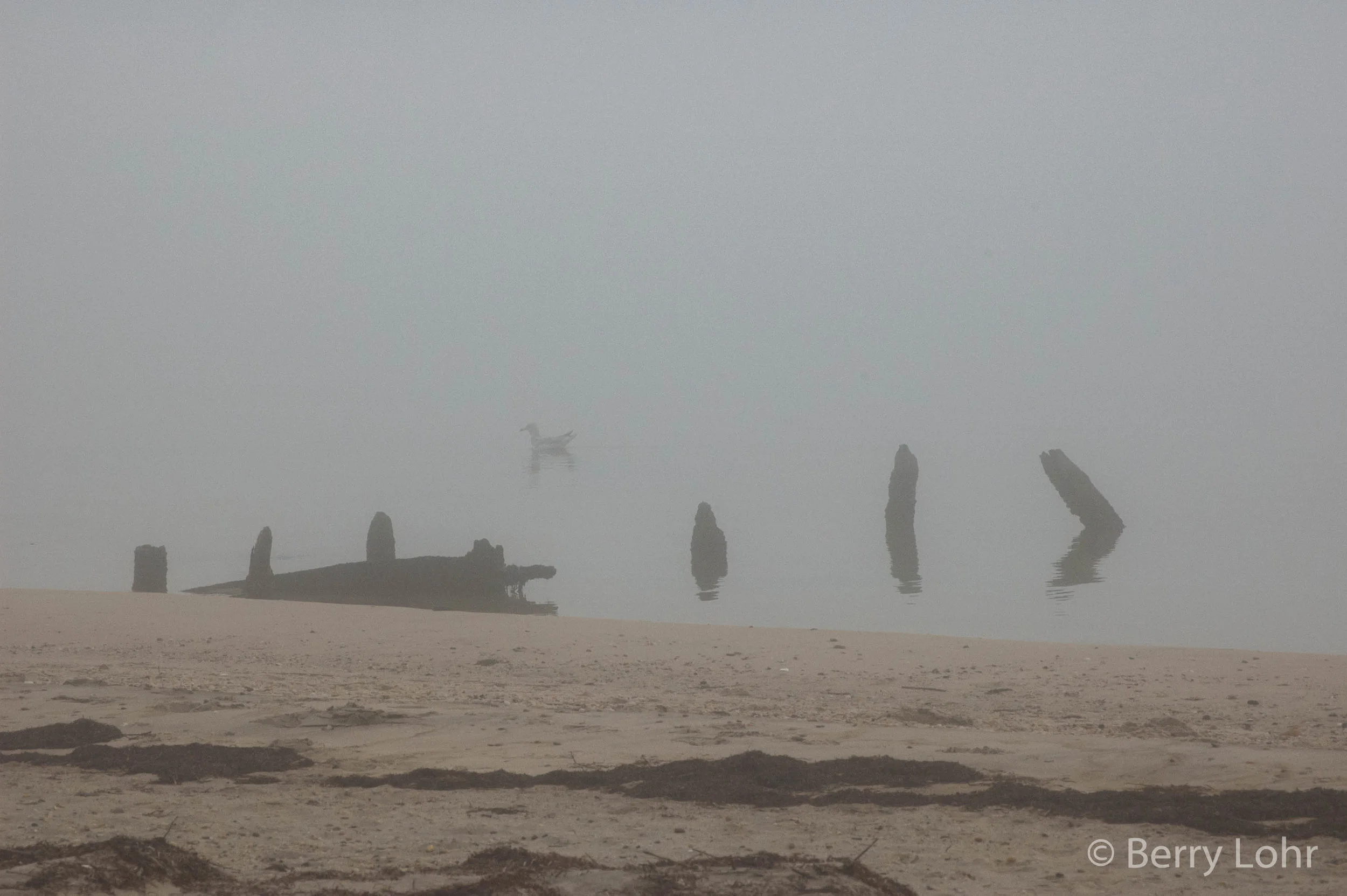 Foggy Day 6