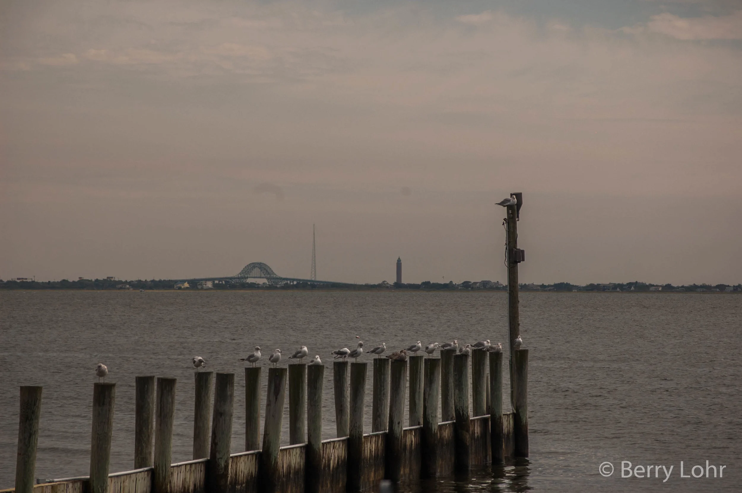 Bridge Landscape 5