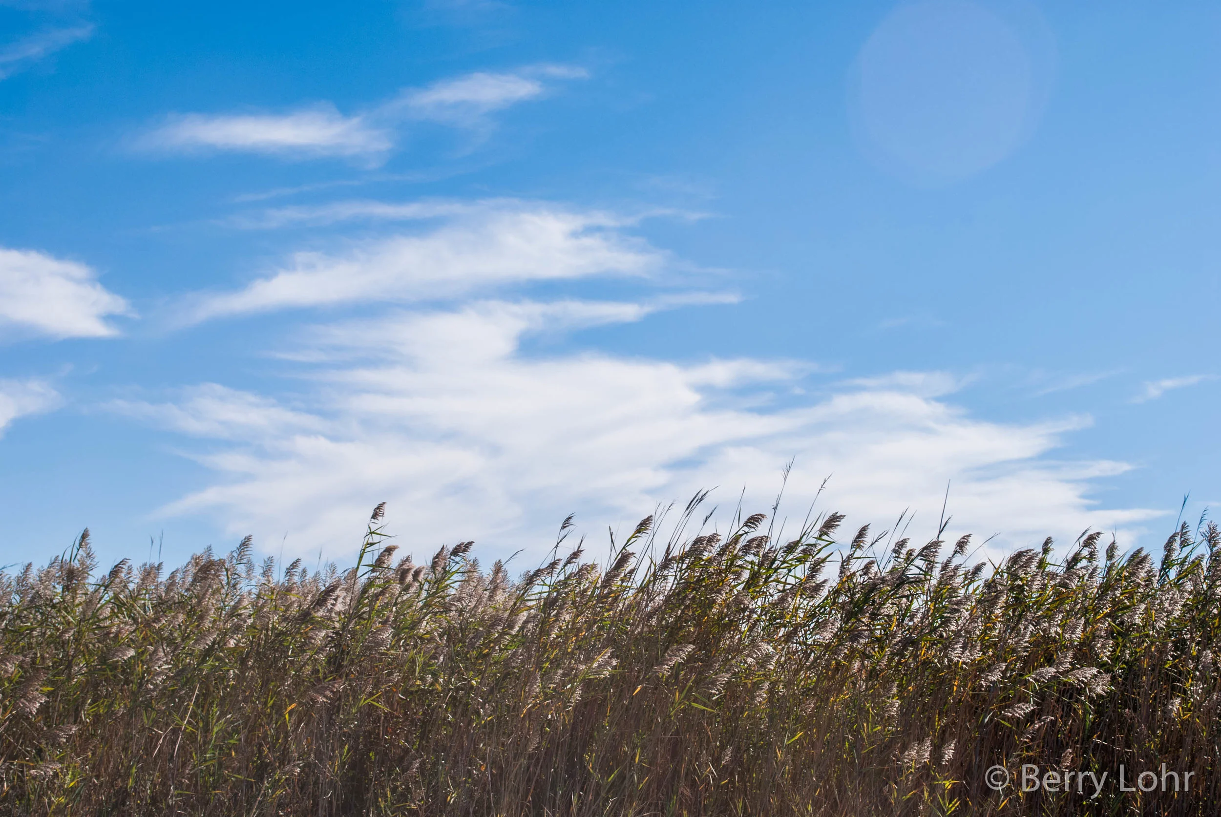 Robert Moses State Park 12