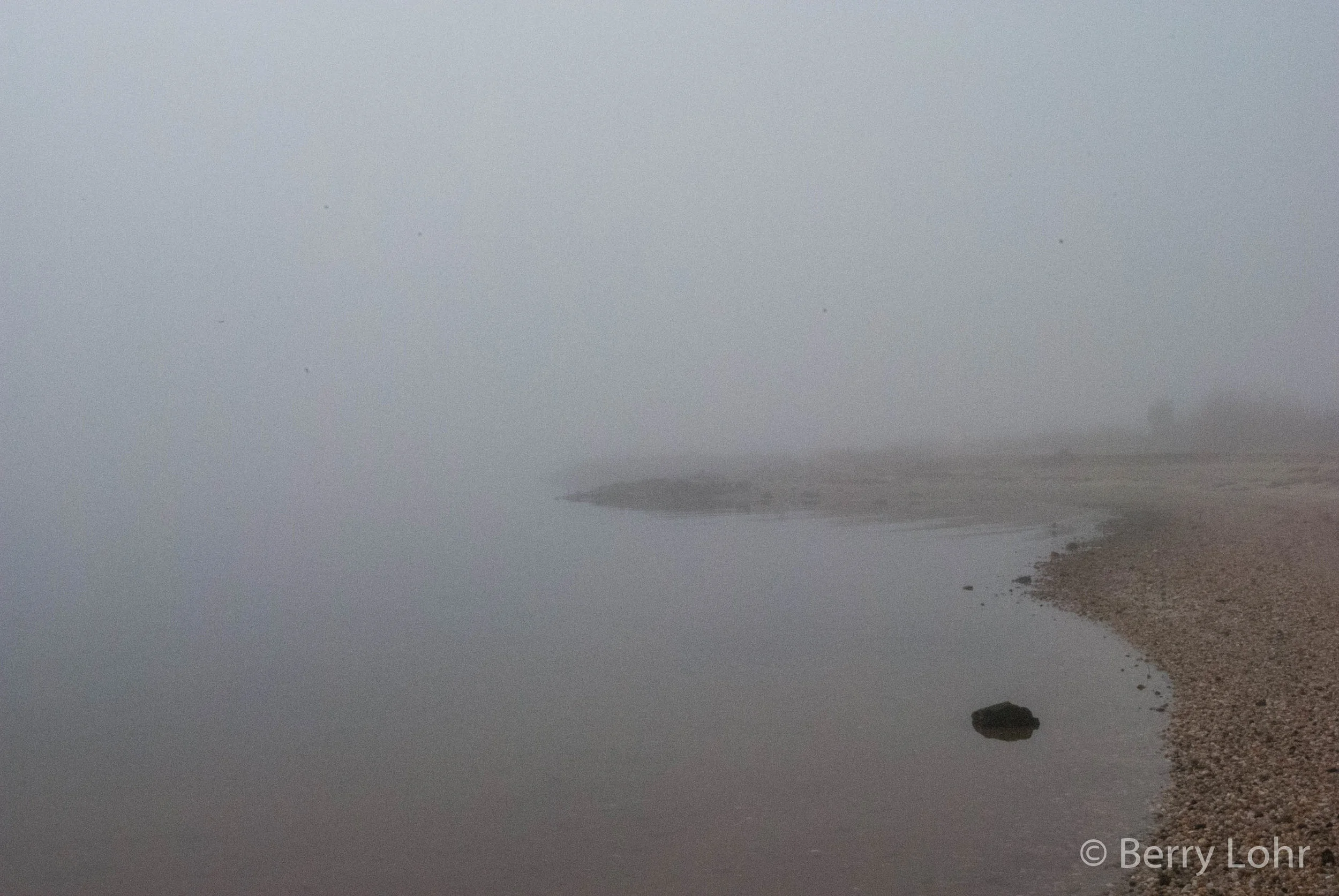 Foggy Day 7