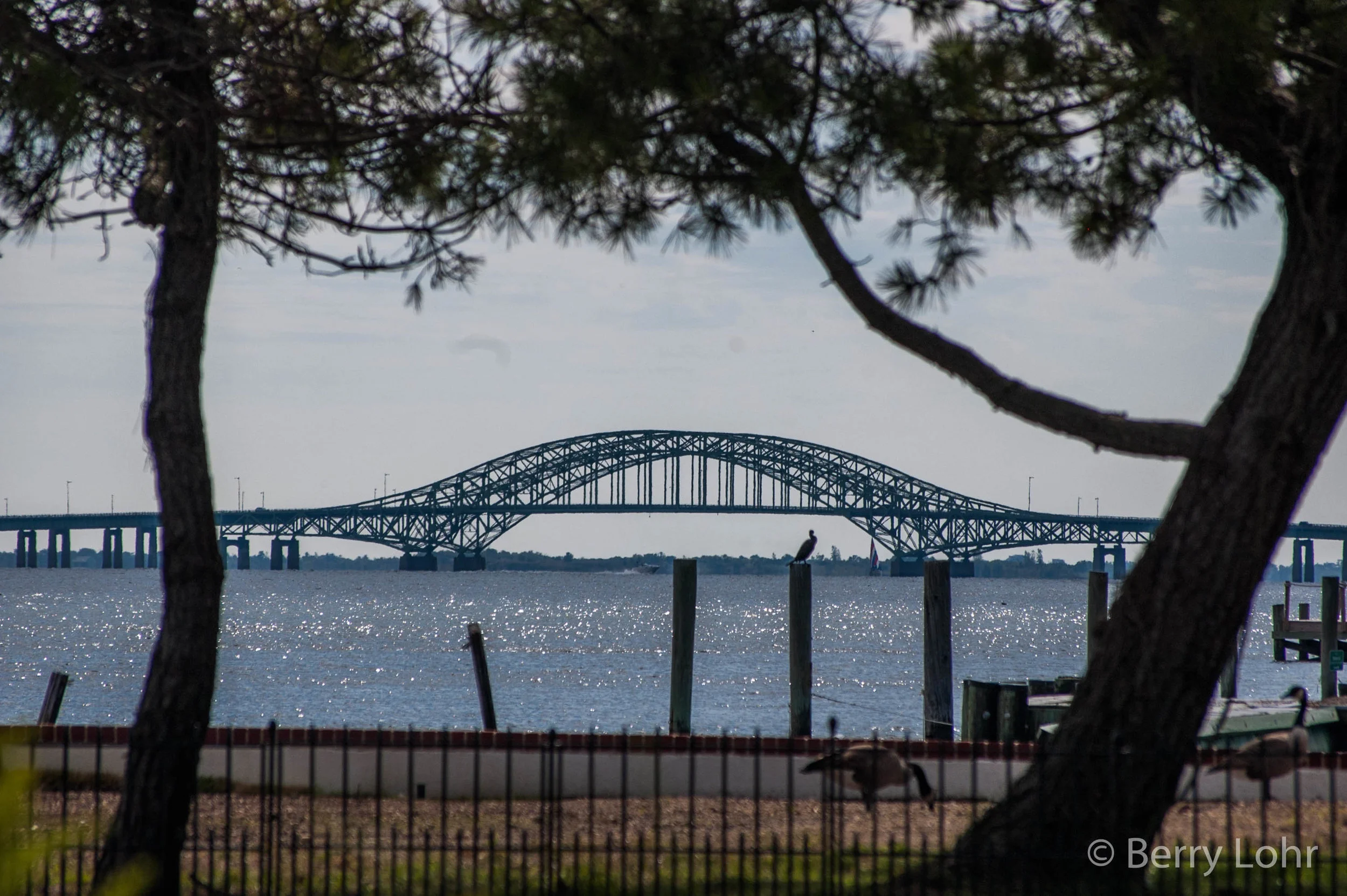 Bridge Landscape 6